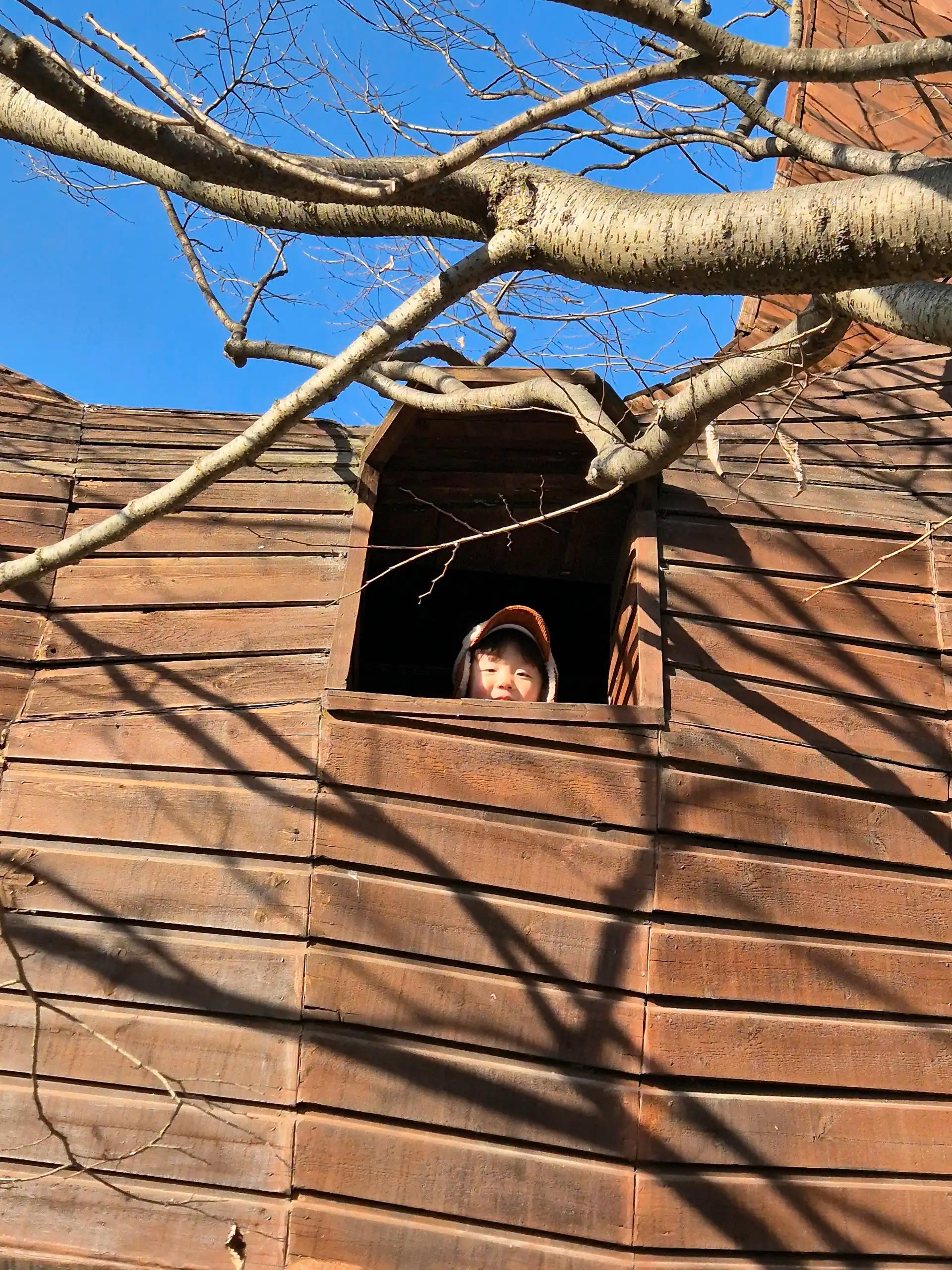 크루톡 이미지 7