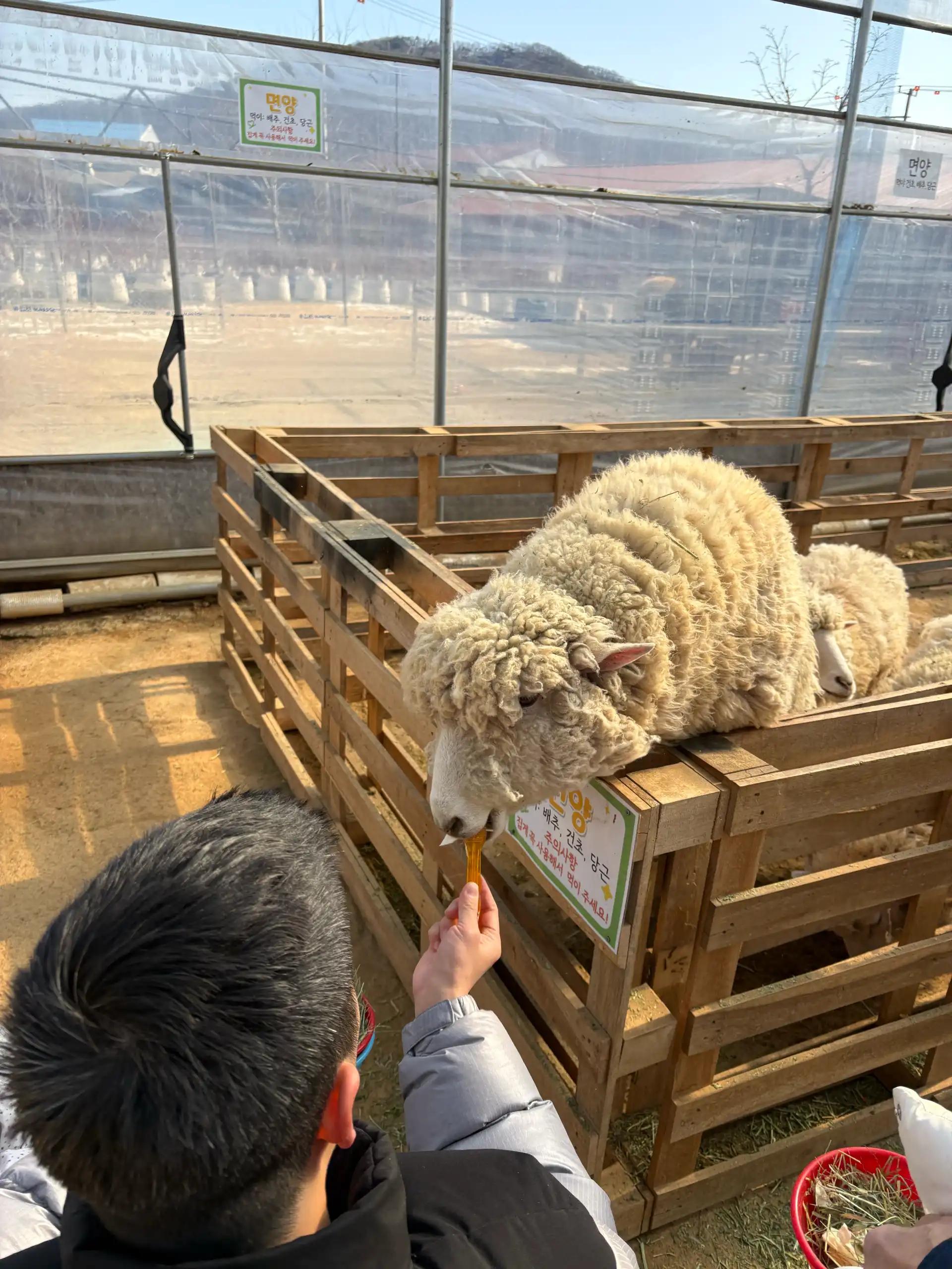 크루톡 이미지 1