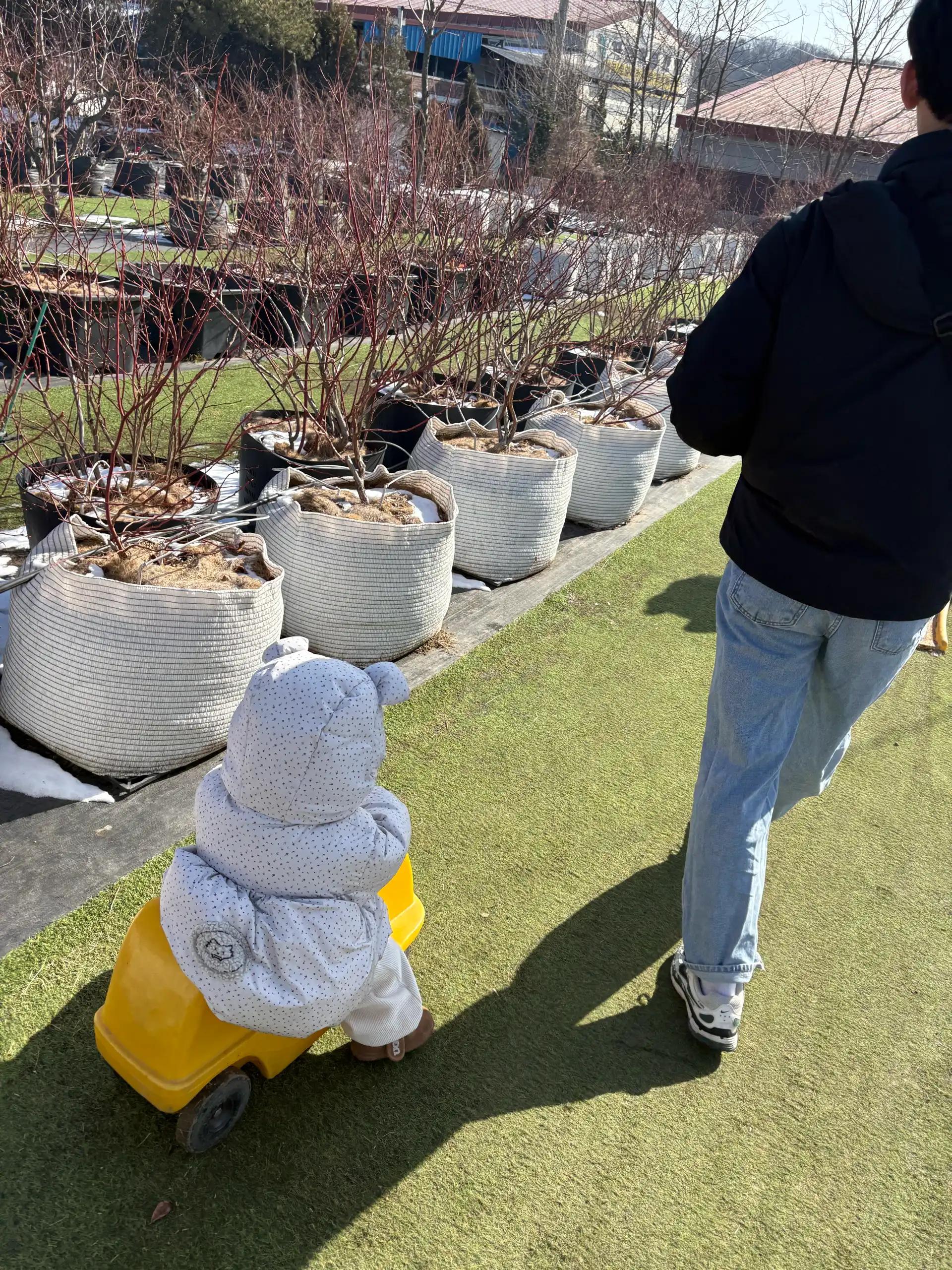 크루톡 이미지 2