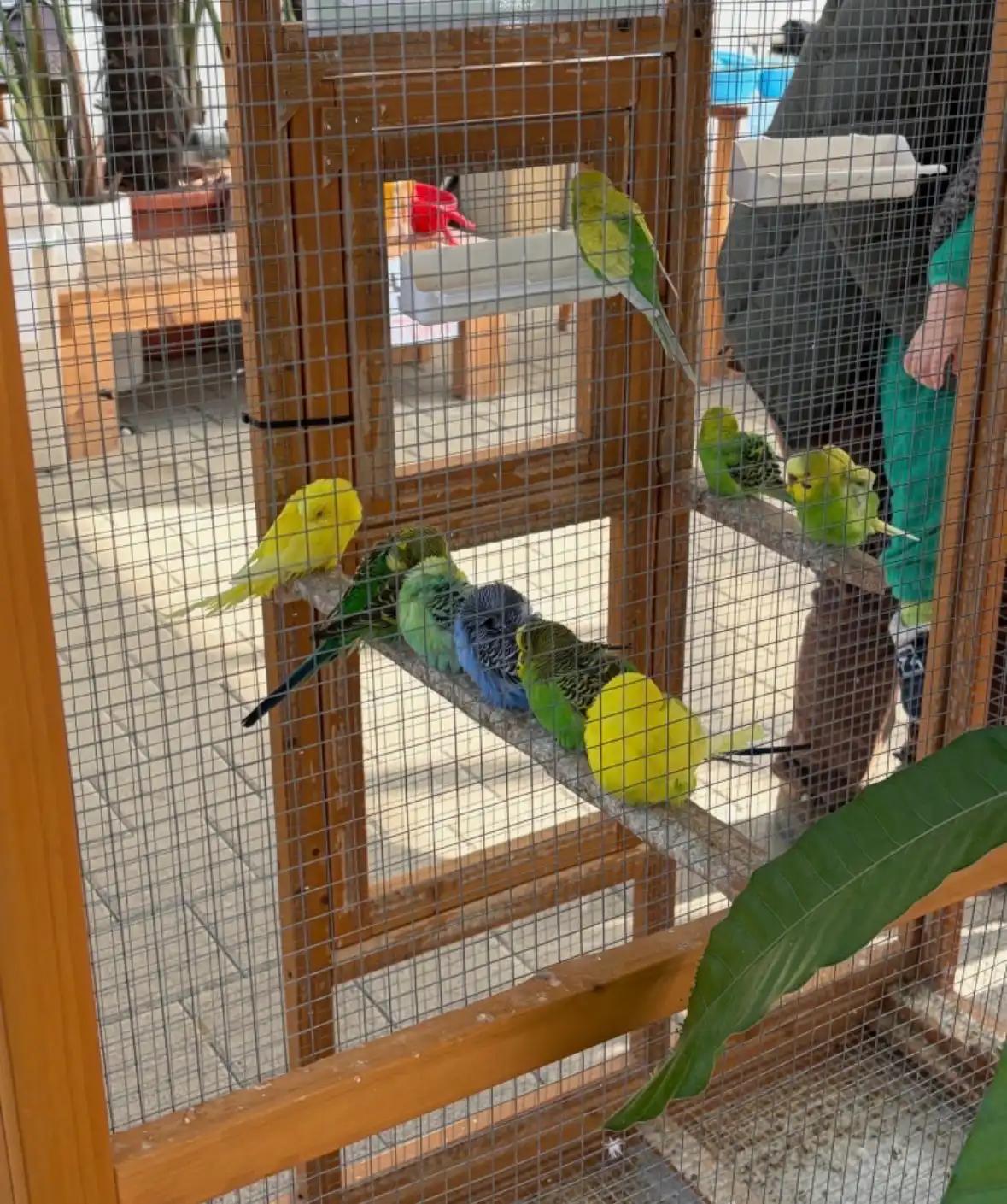 크루톡 이미지 3