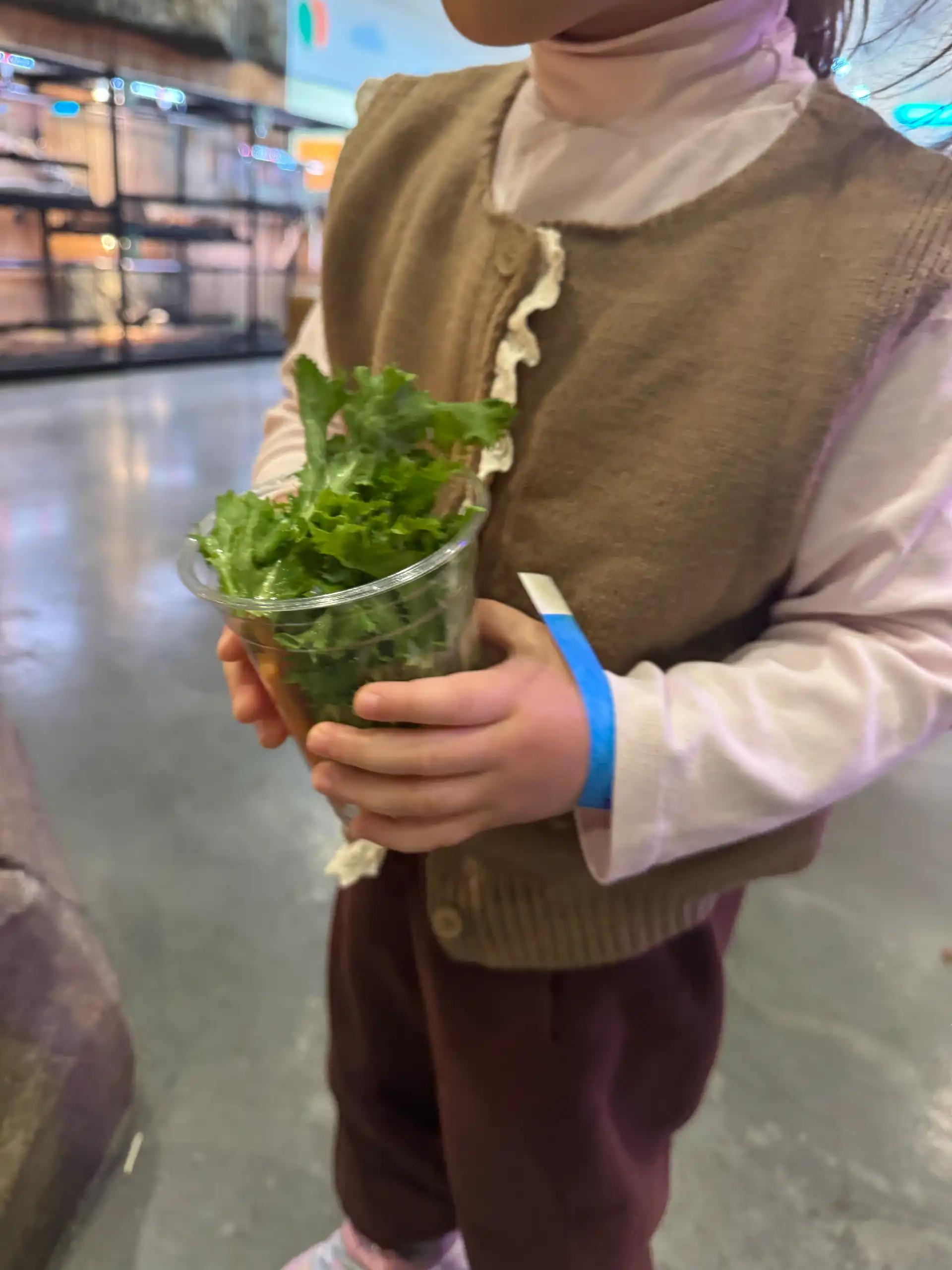 크루톡 이미지 2