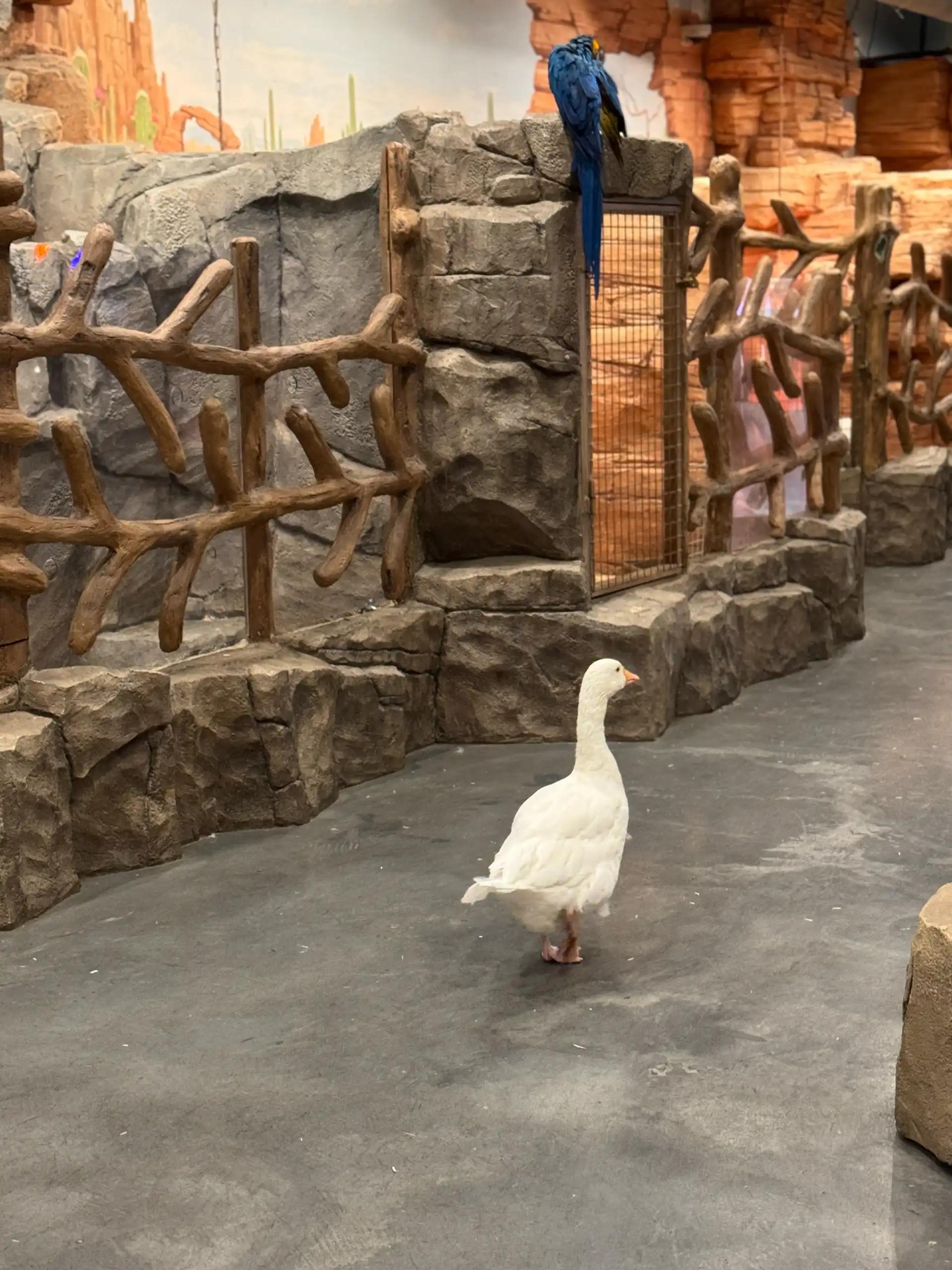 크루톡 이미지 5