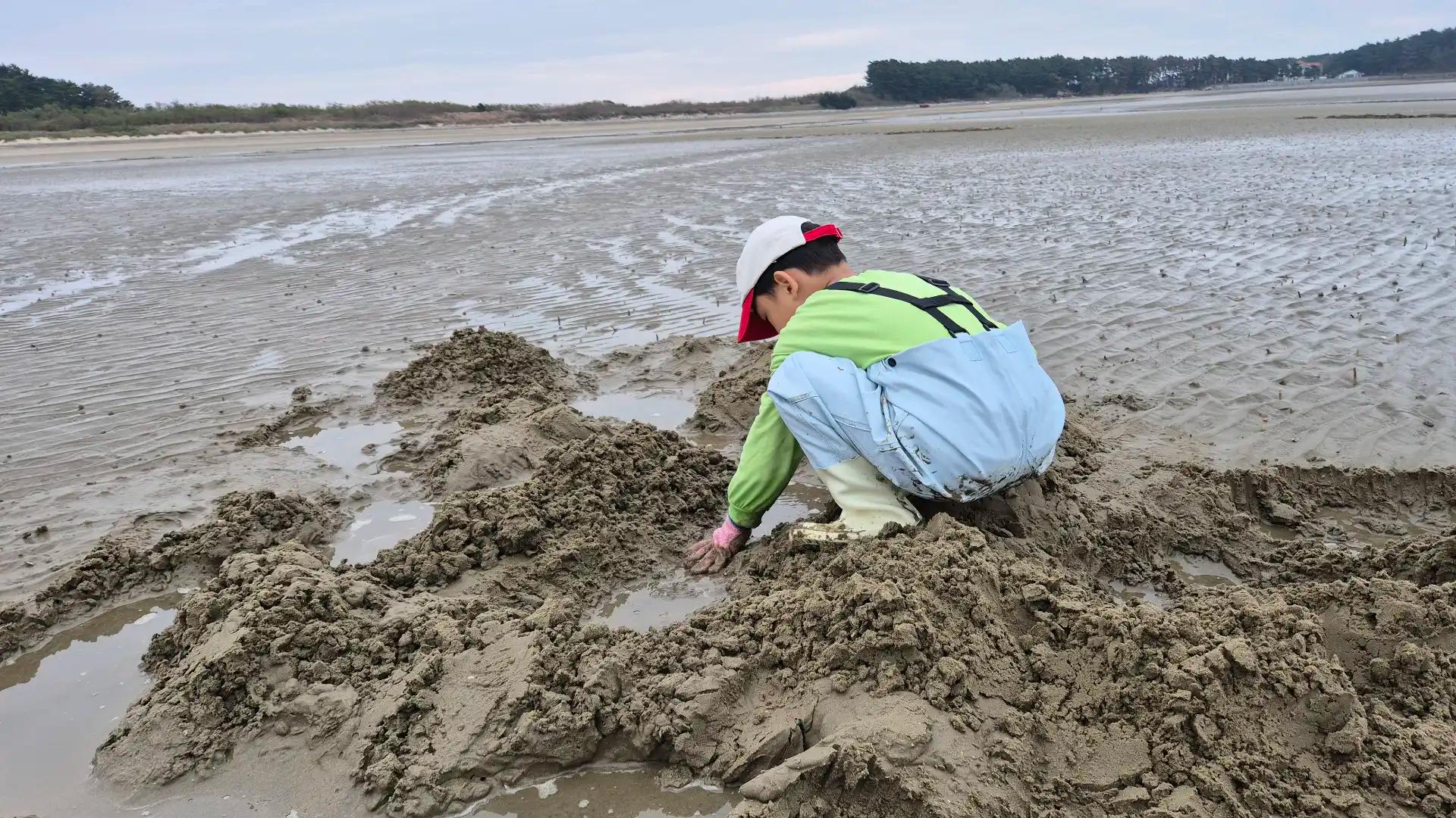 크루톡 이미지 4