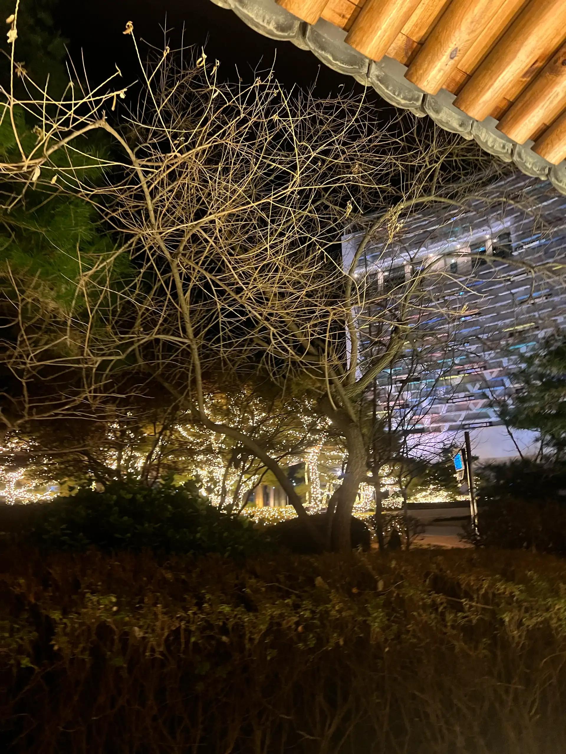 크루톡 이미지 8