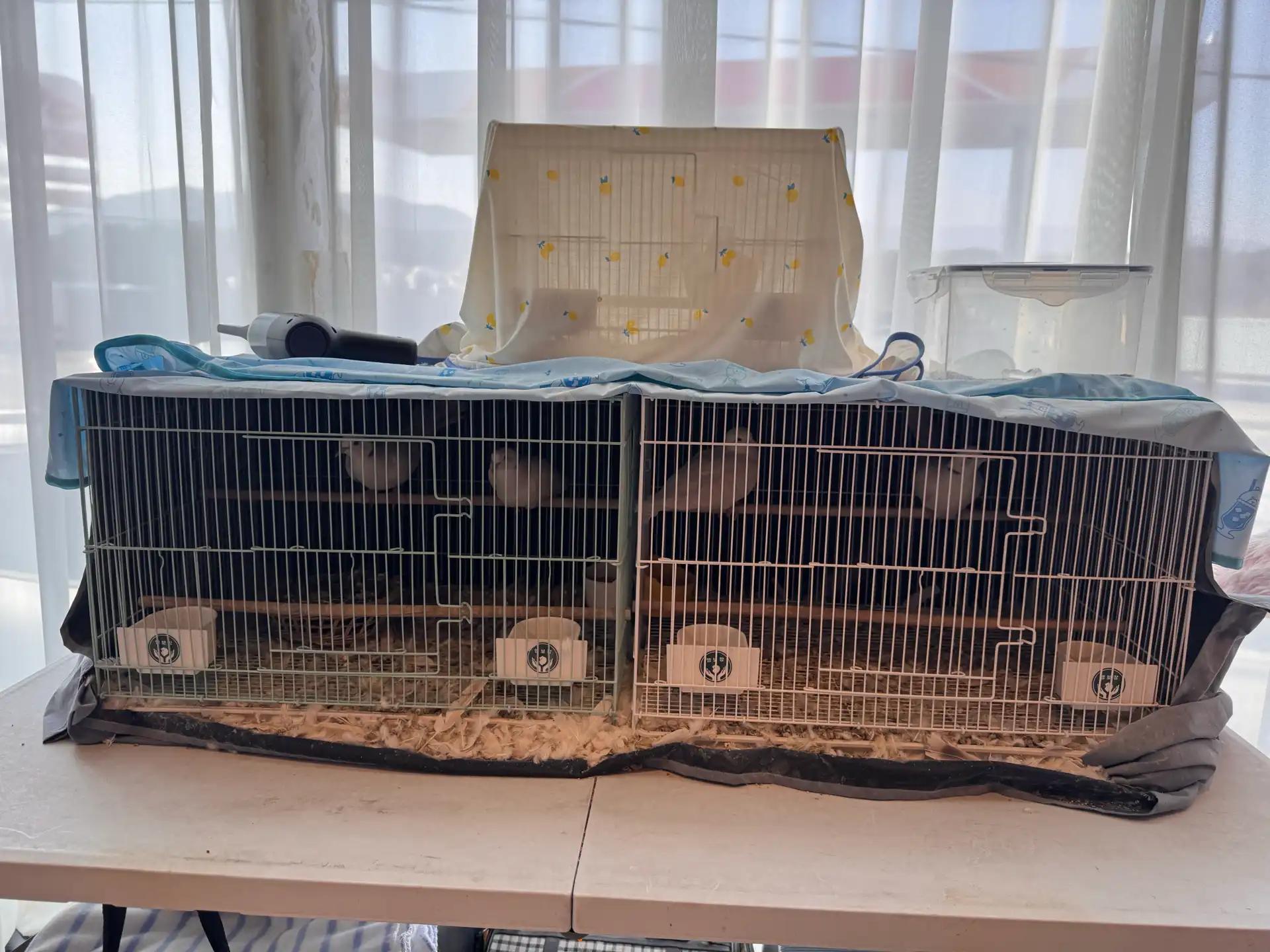 크루톡 이미지 8