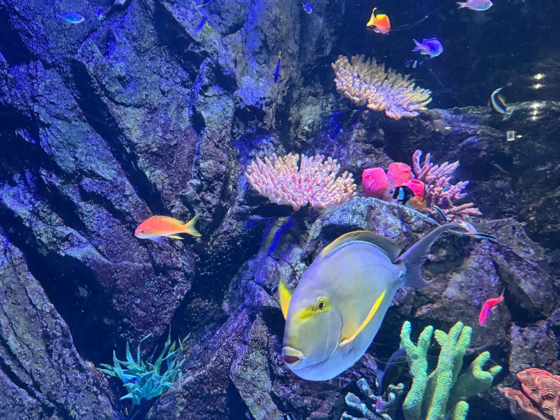 크루톡 이미지 2