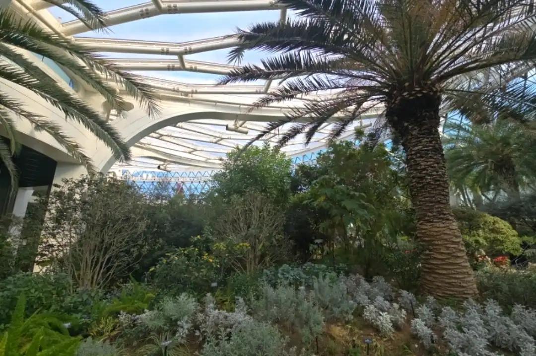 크루톡 이미지 4