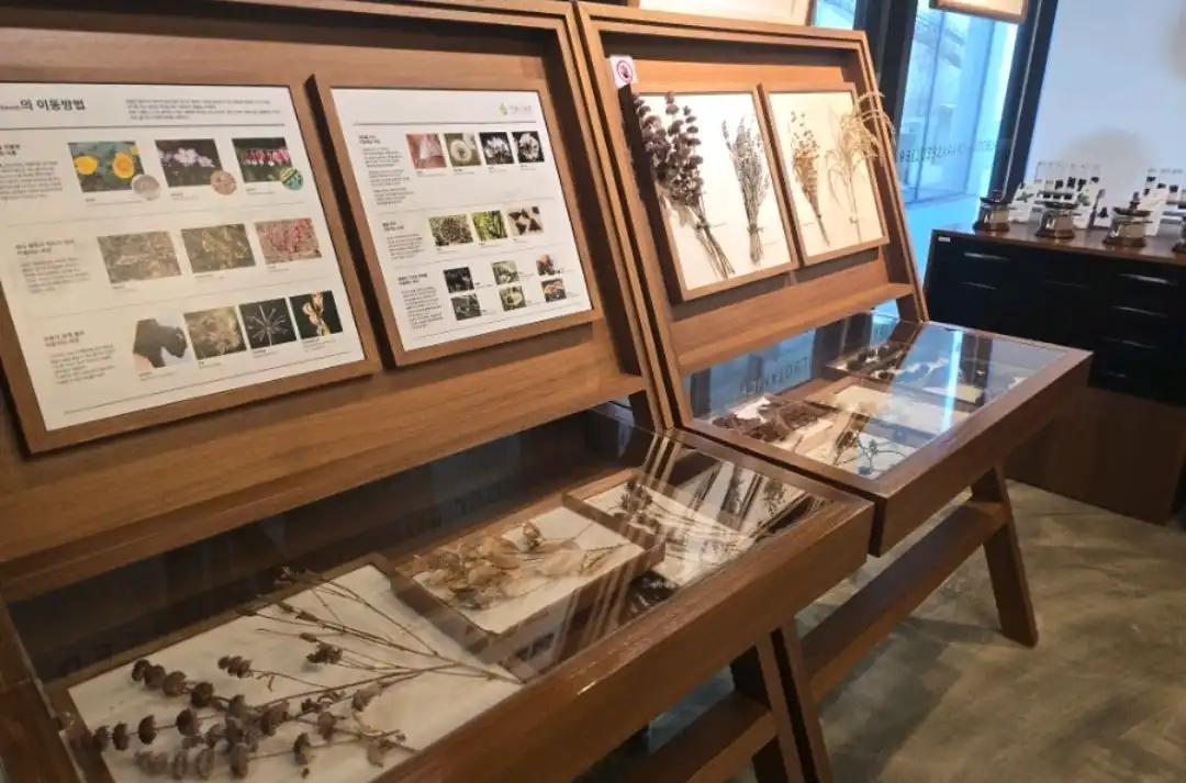 크루톡 이미지 6