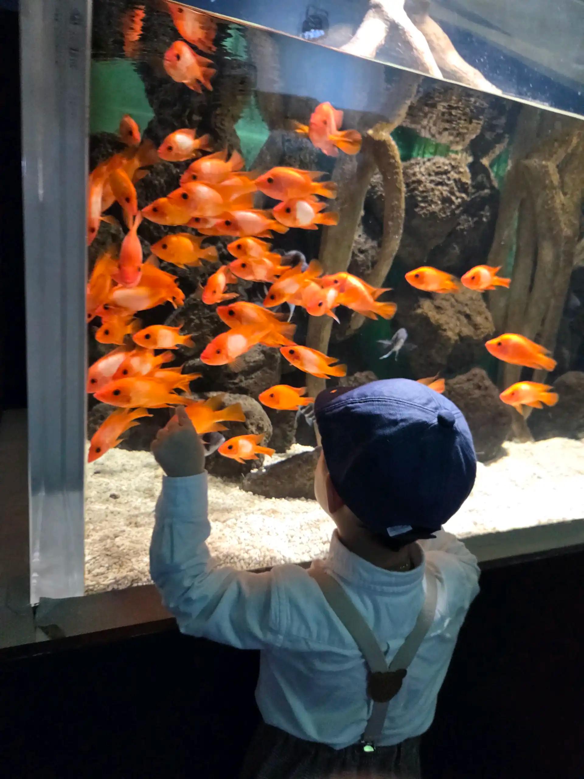 크루톡 이미지 4