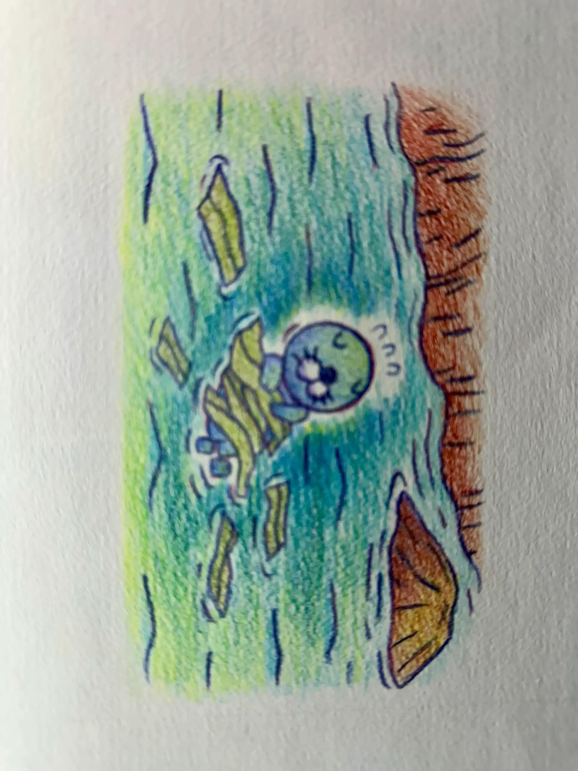 크루톡 이미지 5