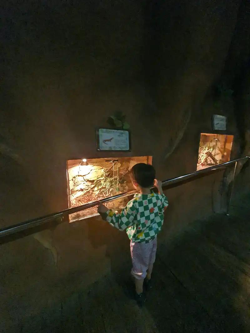 크루톡 이미지 2