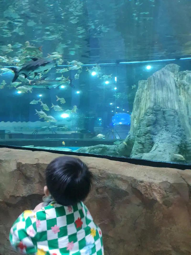 크루톡 이미지 3