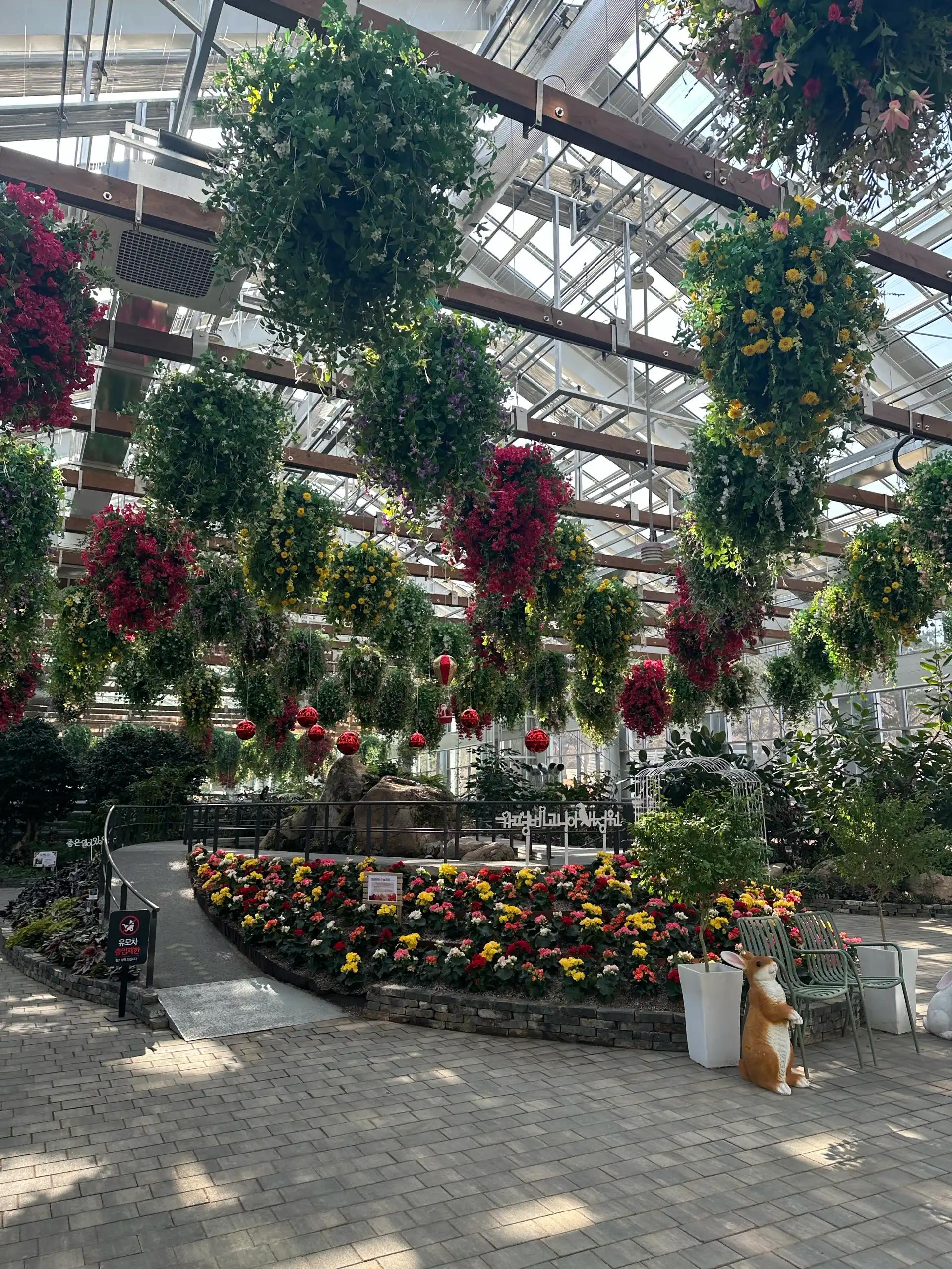 ํฌ๋ฃจํก ์ด๋ฏธ์ง