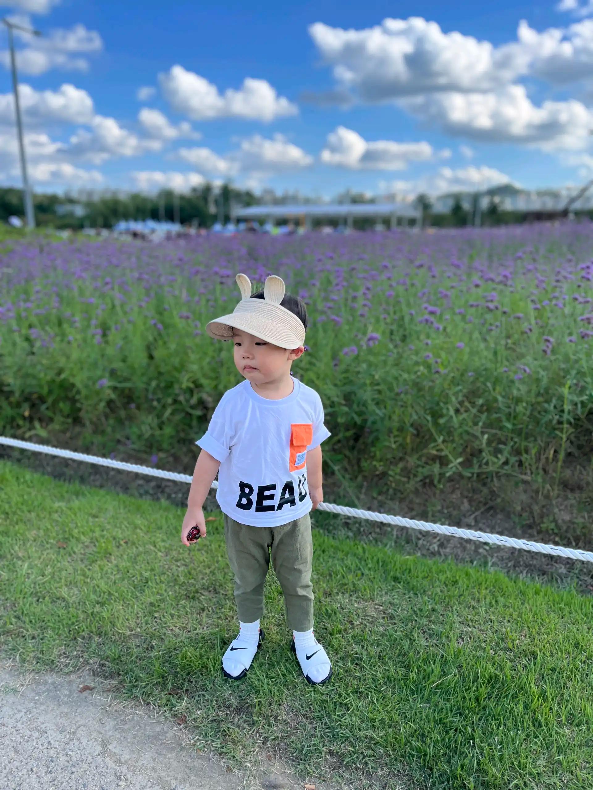 크루톡 이미지 1