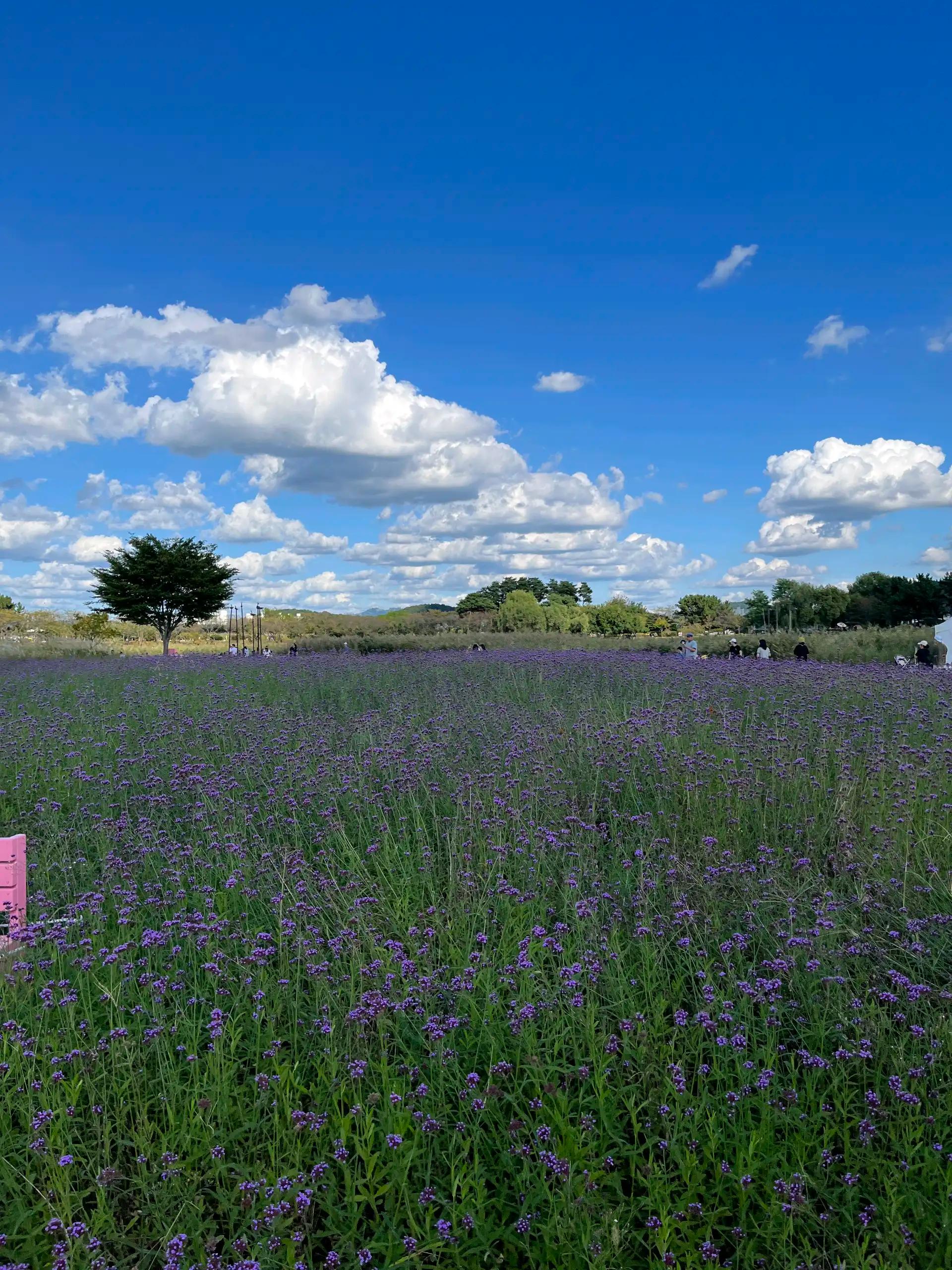 크루톡 이미지 2