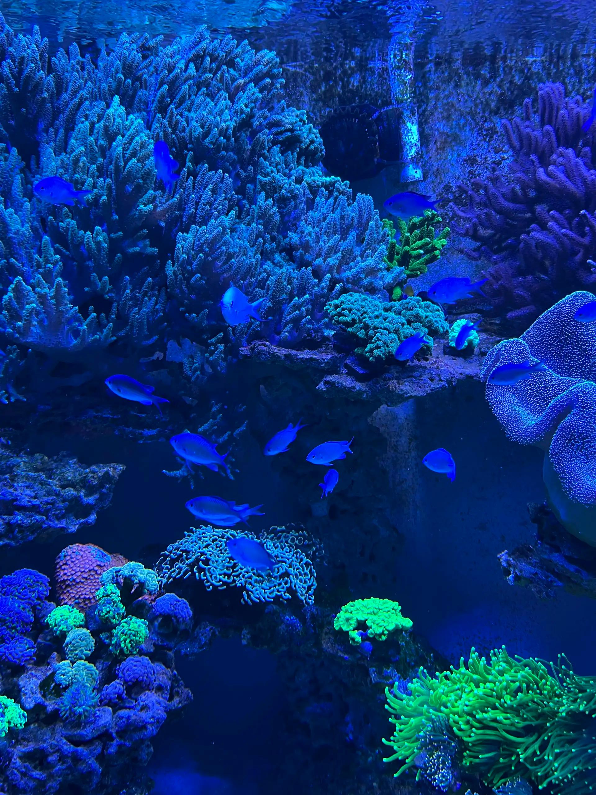 크루톡 이미지 1