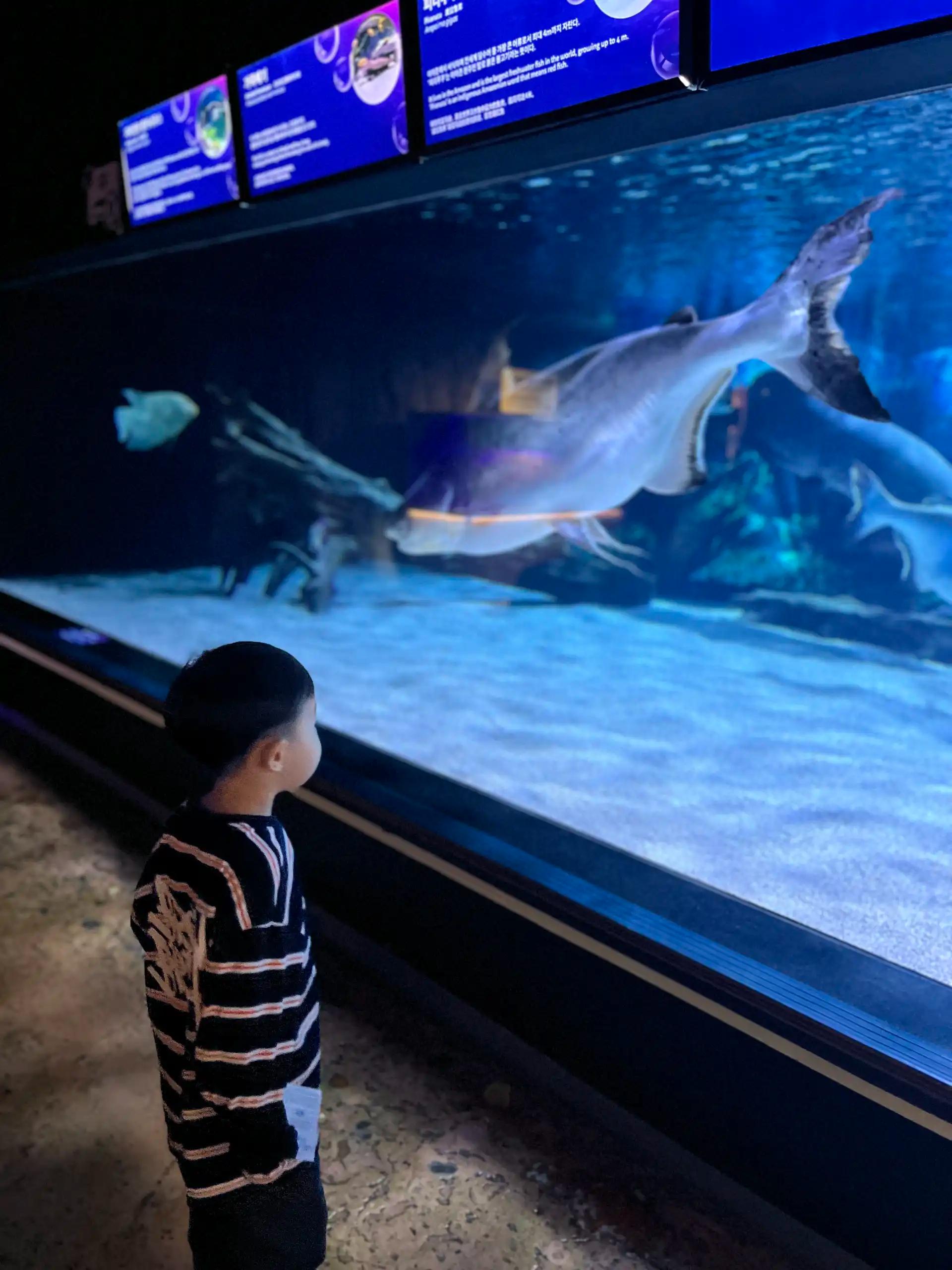 크루톡 이미지 2