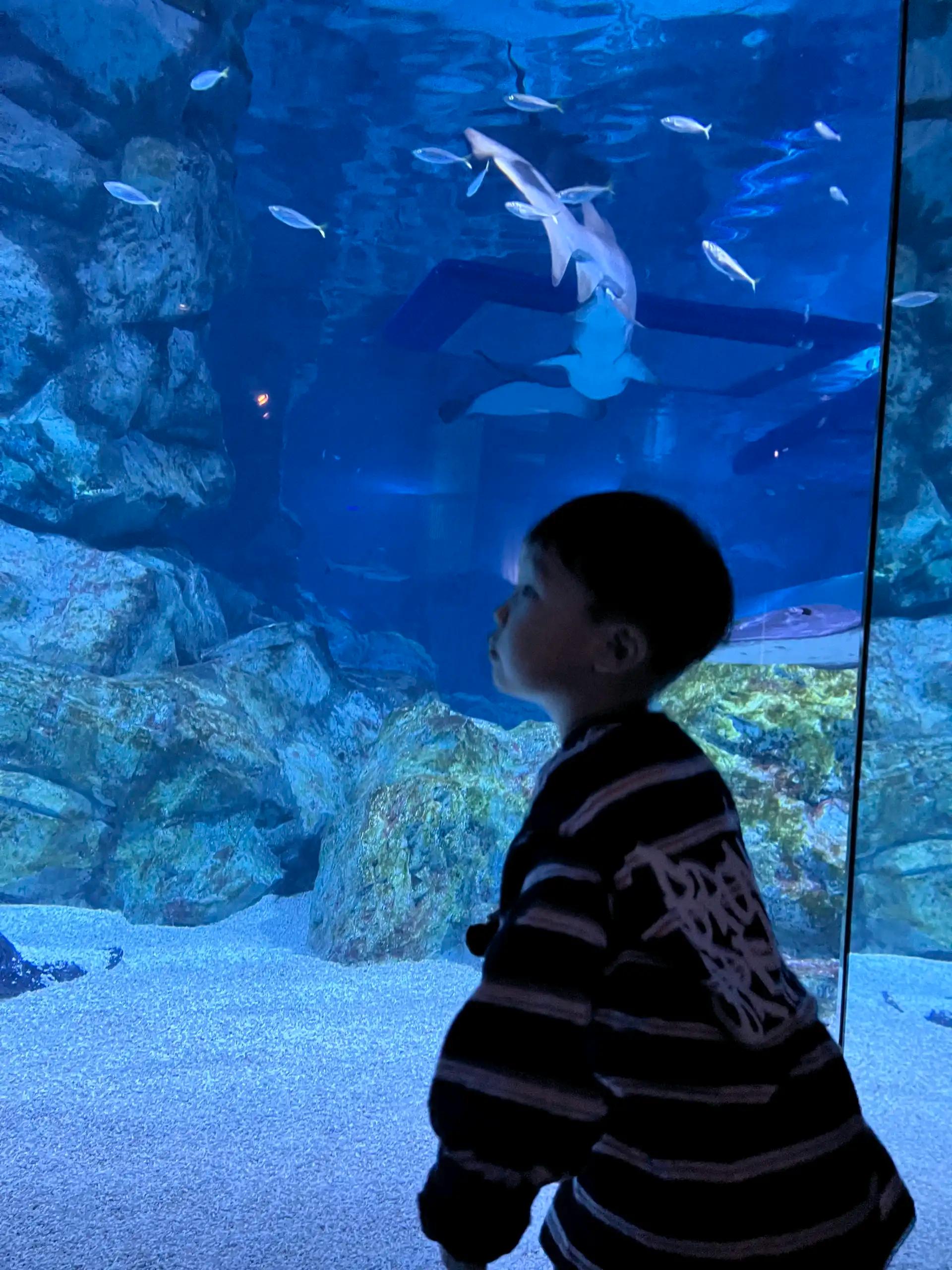 크루톡 이미지 3