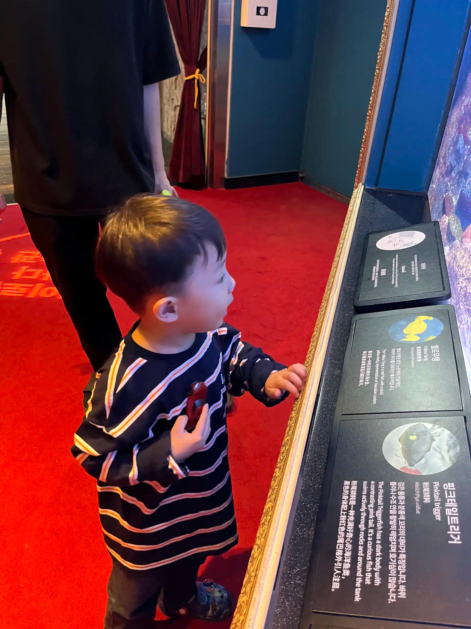 크루톡 이미지 4