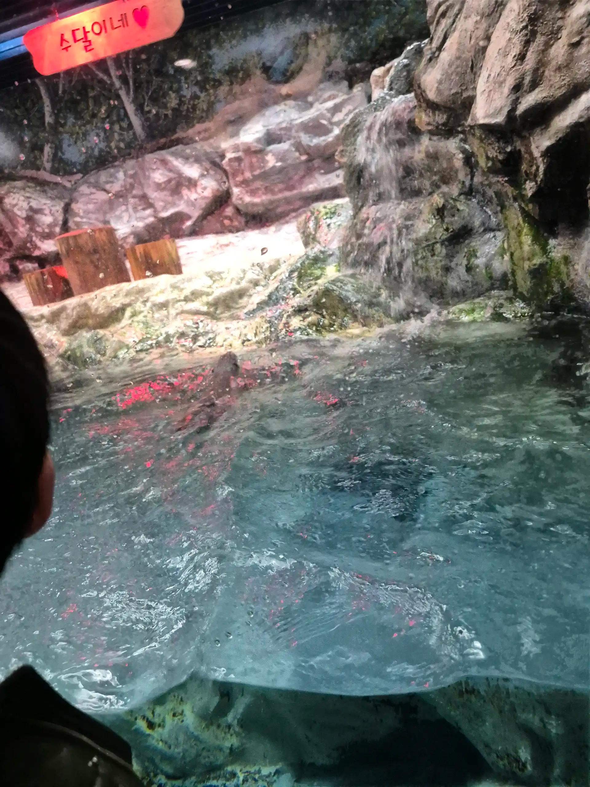 크루톡 이미지 1