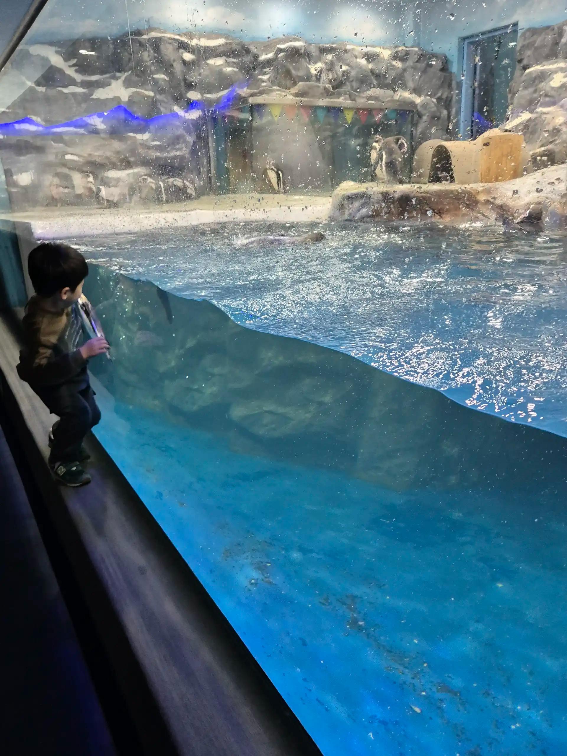 크루톡 이미지 2