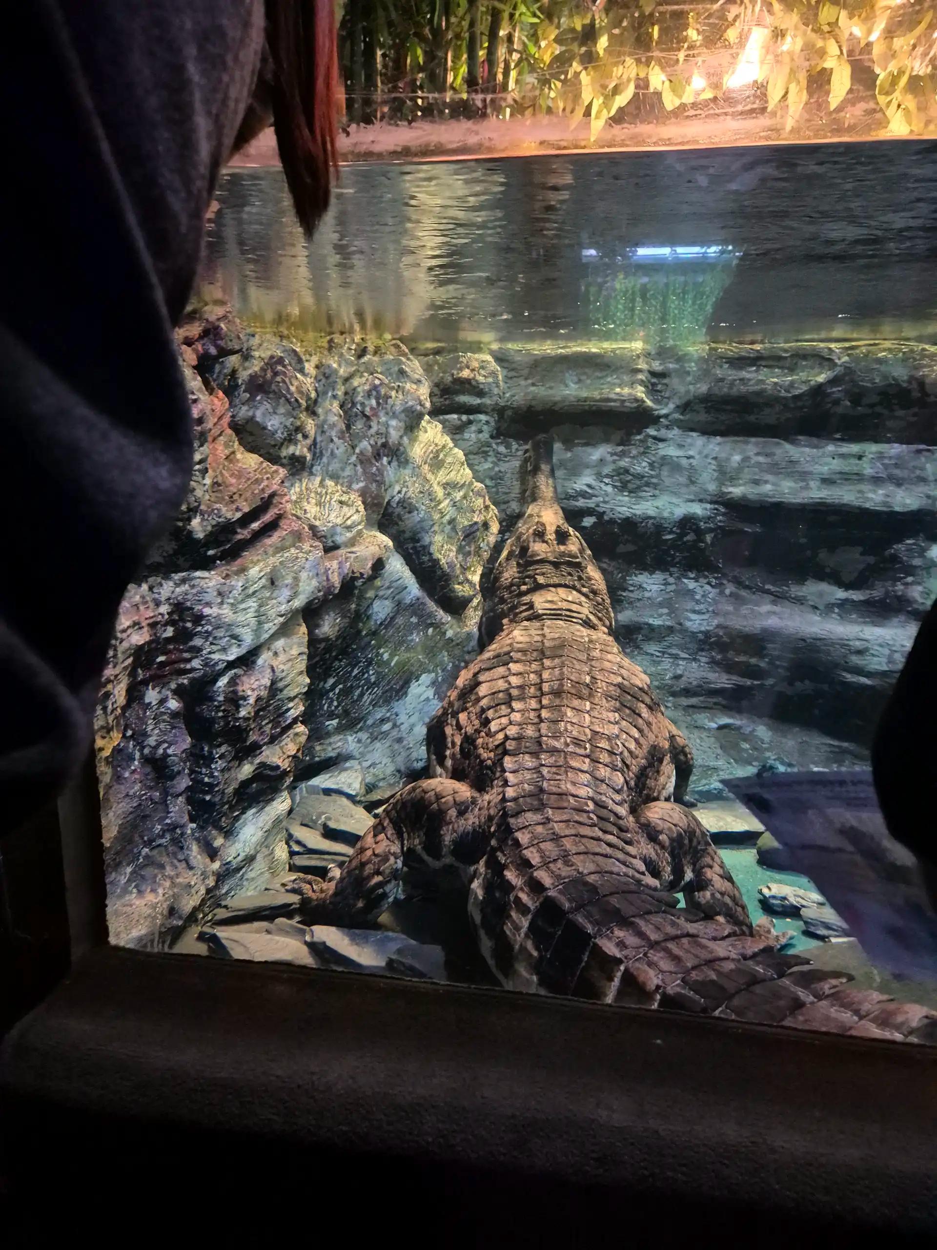 크루톡 이미지 3