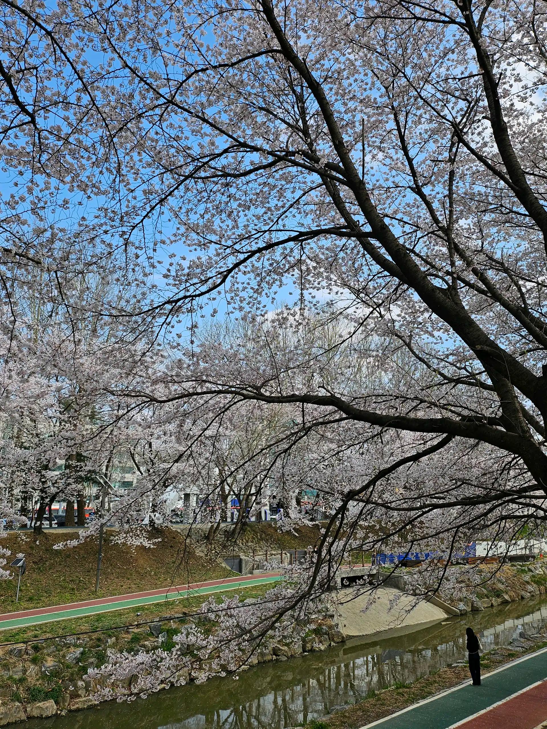 크루톡 이미지 1