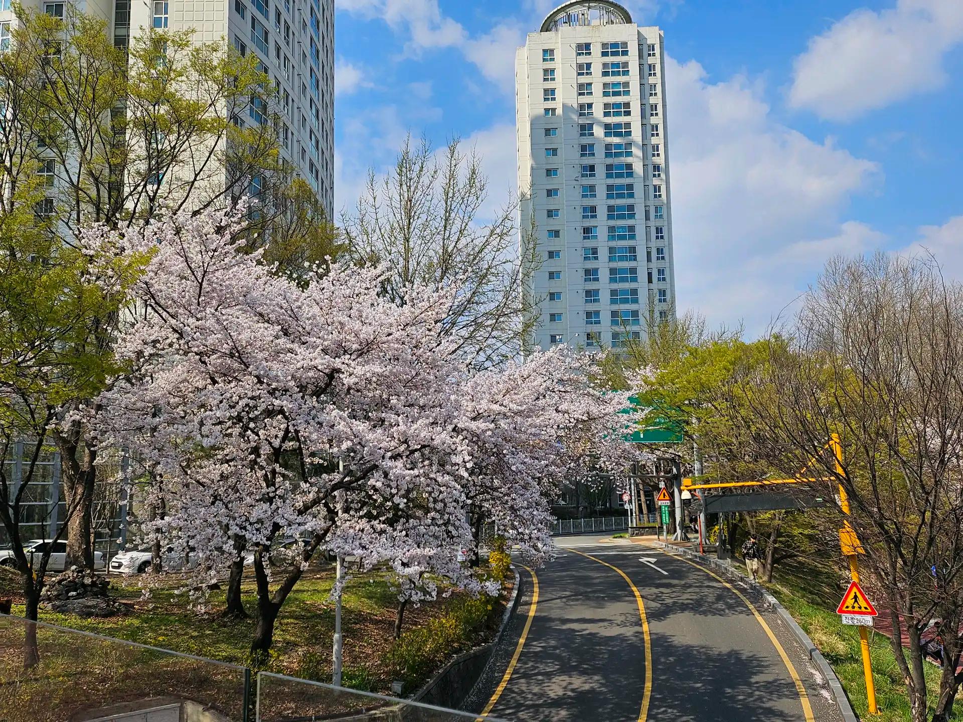 크루톡 이미지 2