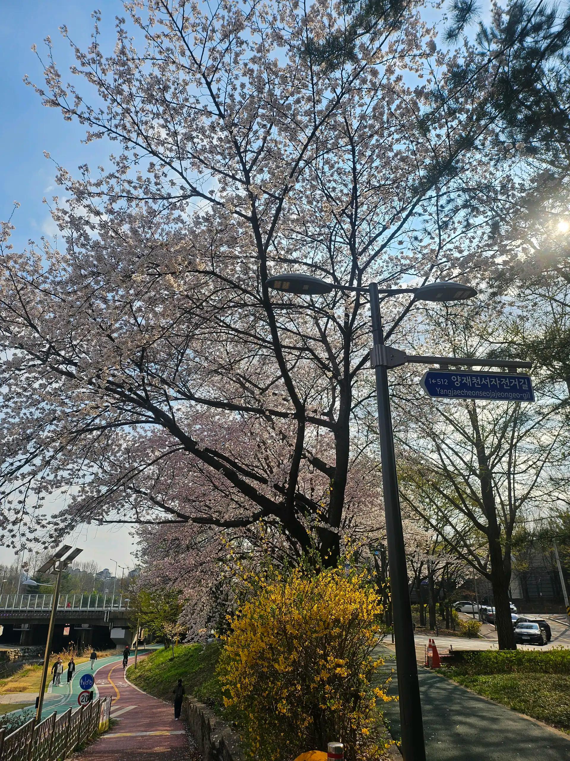 크루톡 이미지 3