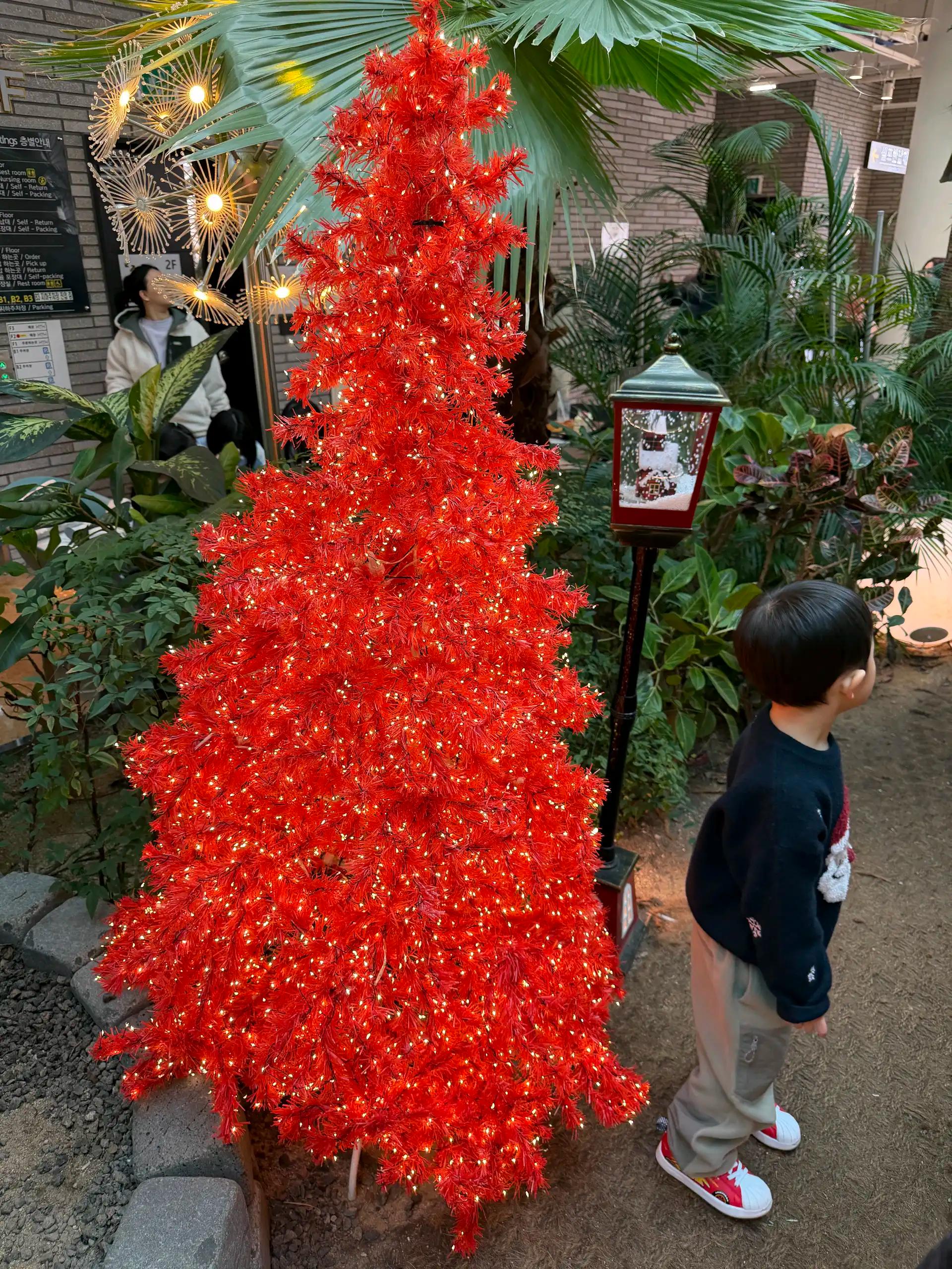 크루톡 이미지 2