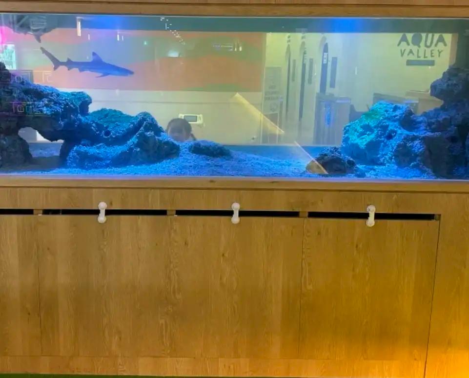 크루톡 이미지 3