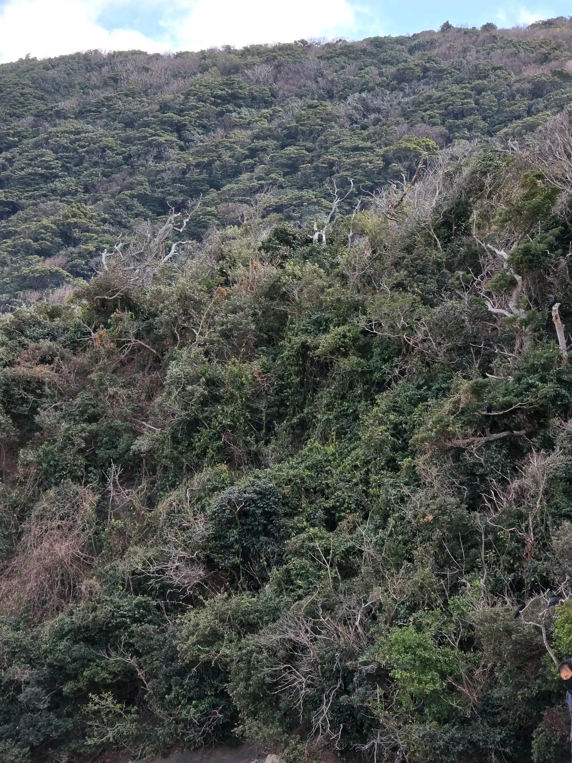 크루톡 이미지 11