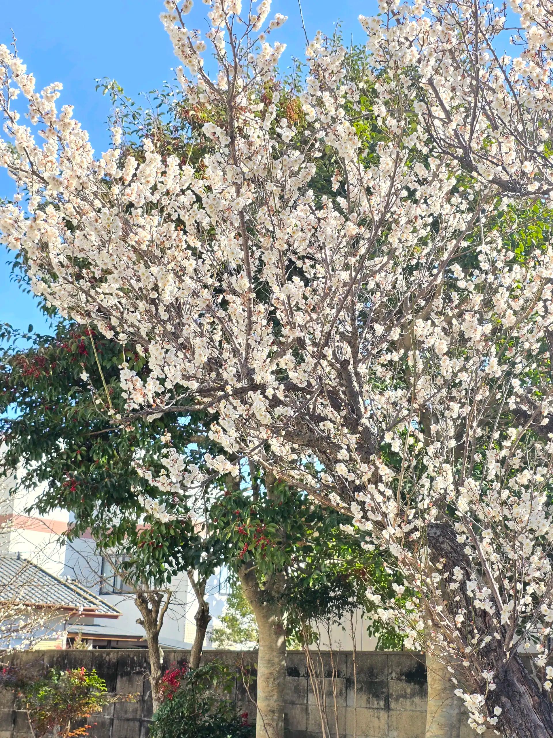 크루톡 이미지 3