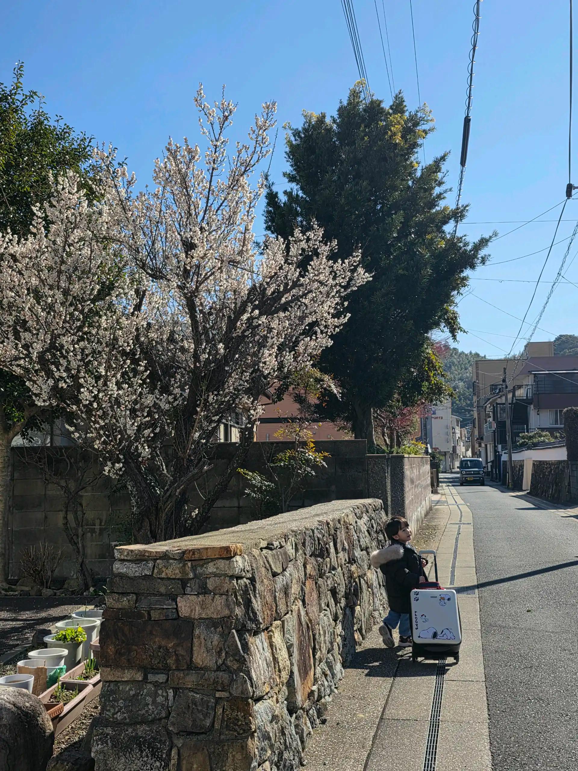 크루톡 이미지 4