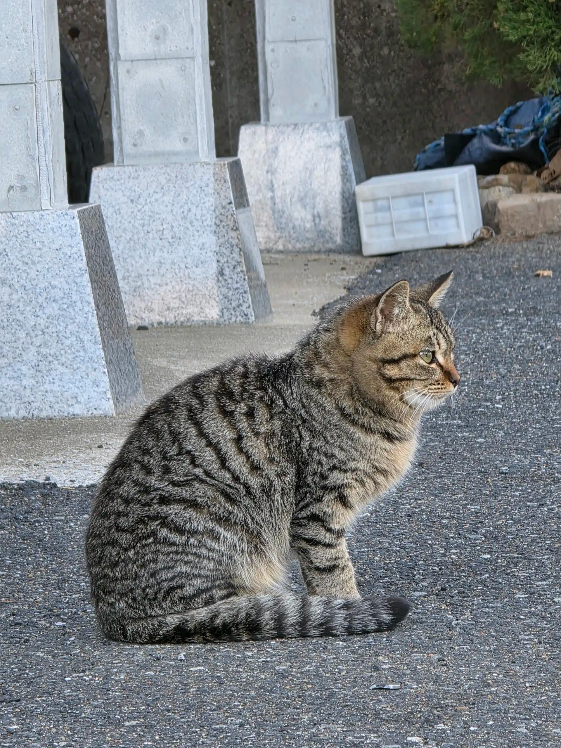 크루톡 이미지 10