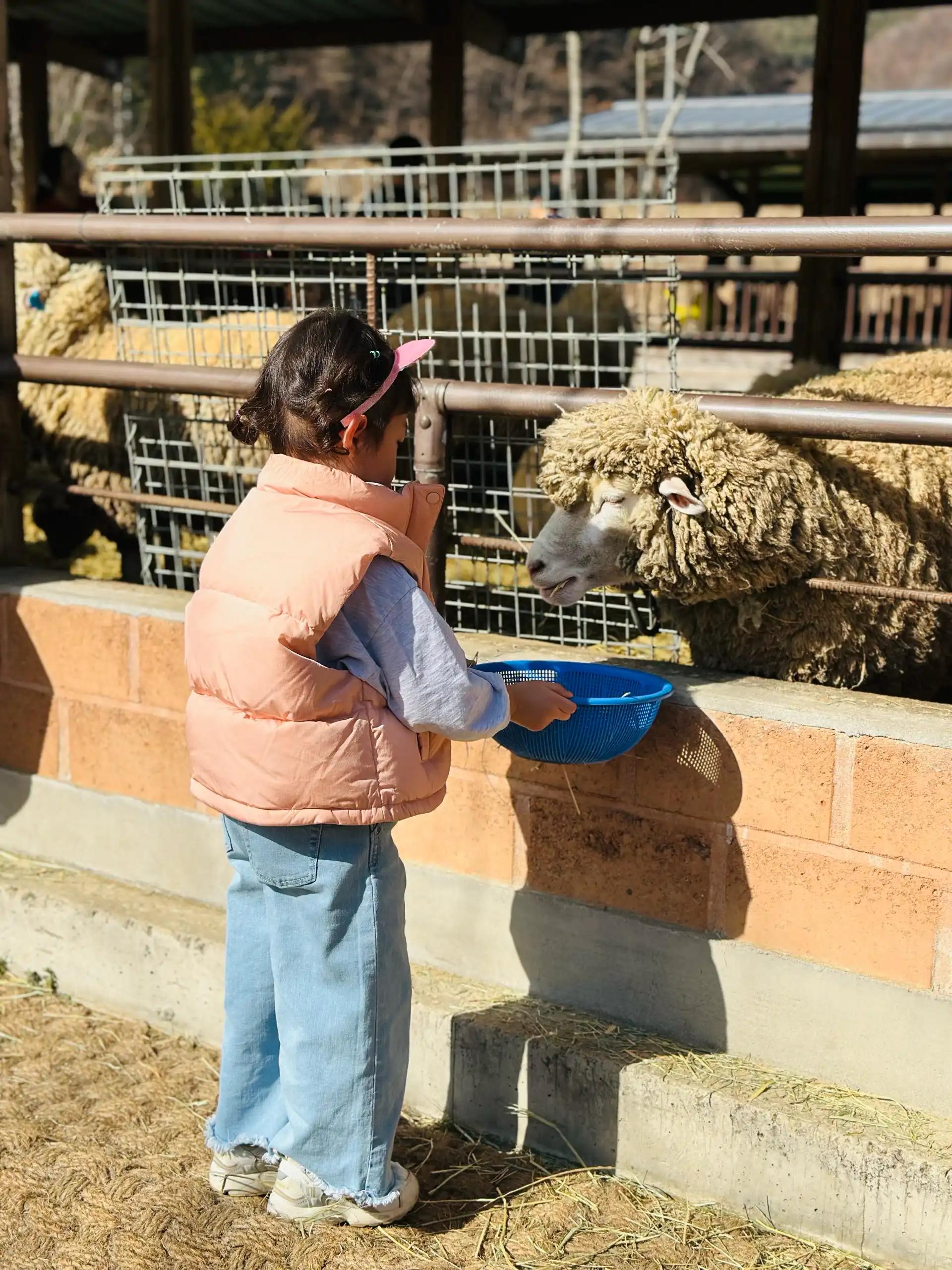 크루톡 이미지 2