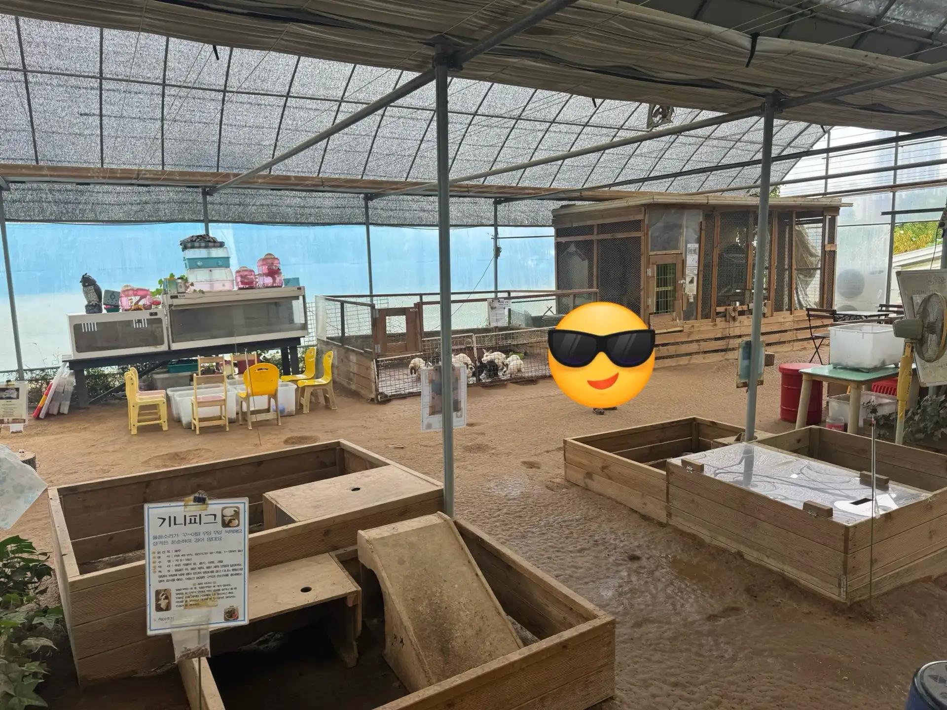 크루톡 이미지 1