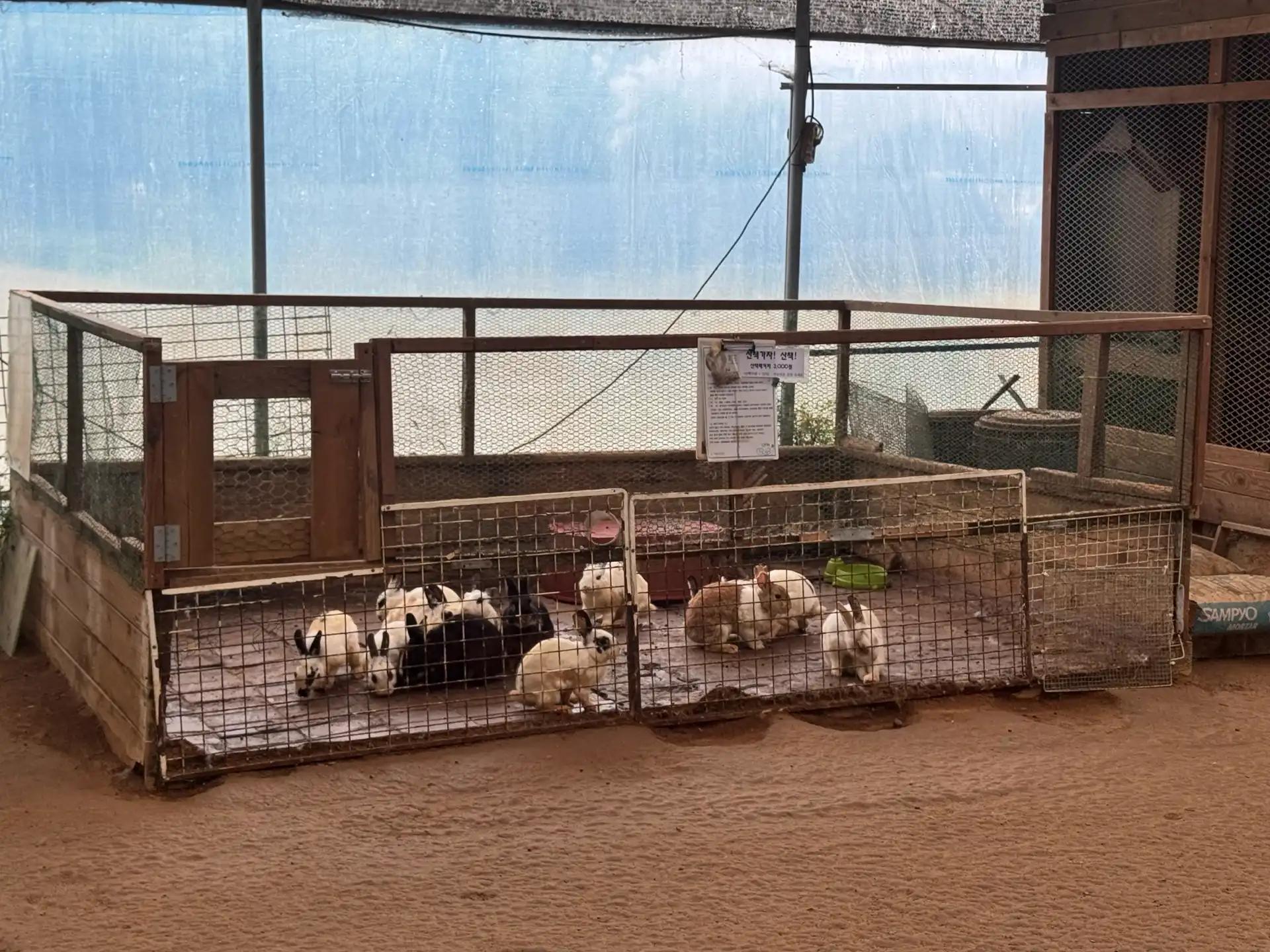 크루톡 이미지 2