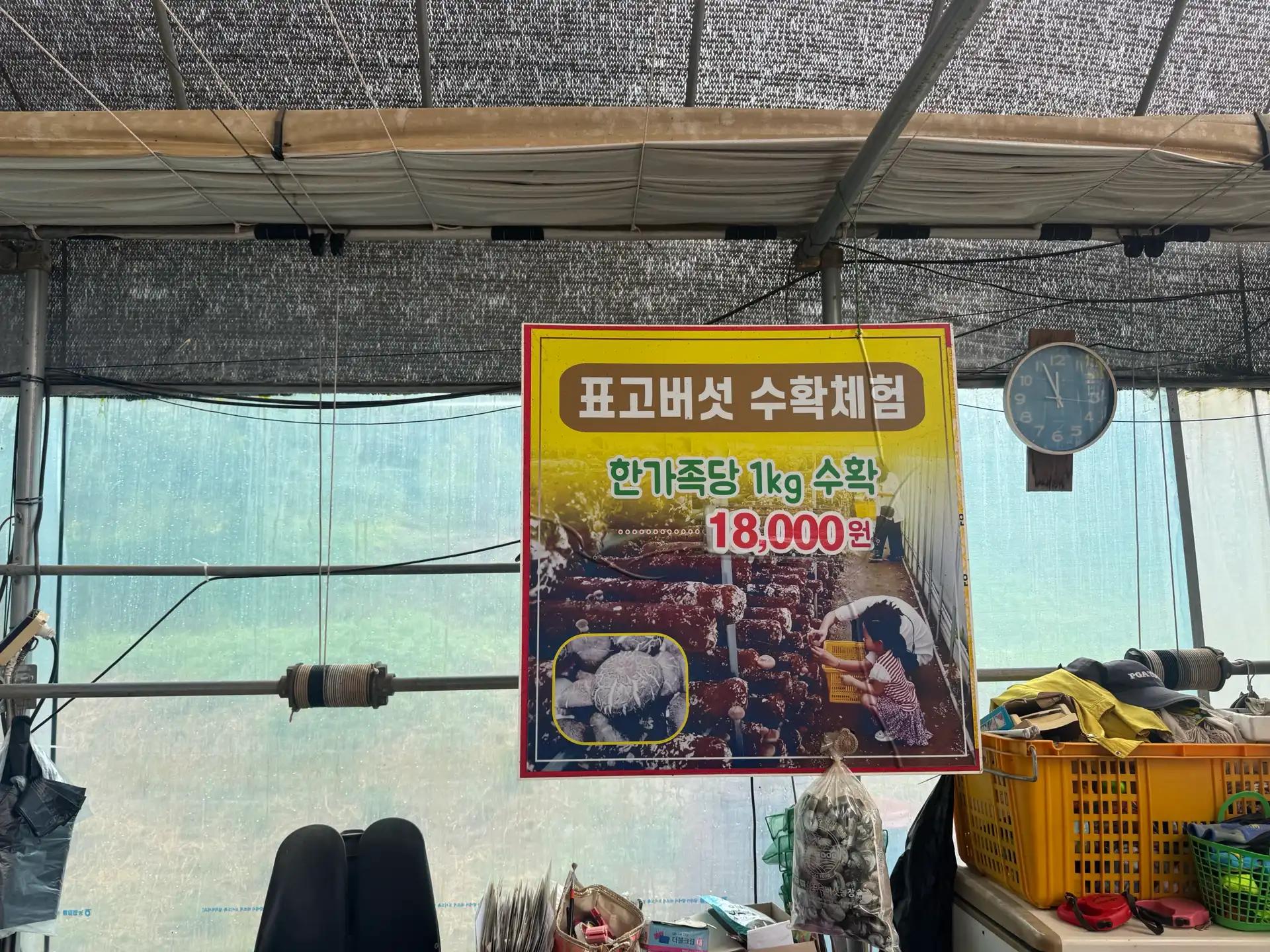 크루톡 이미지 4