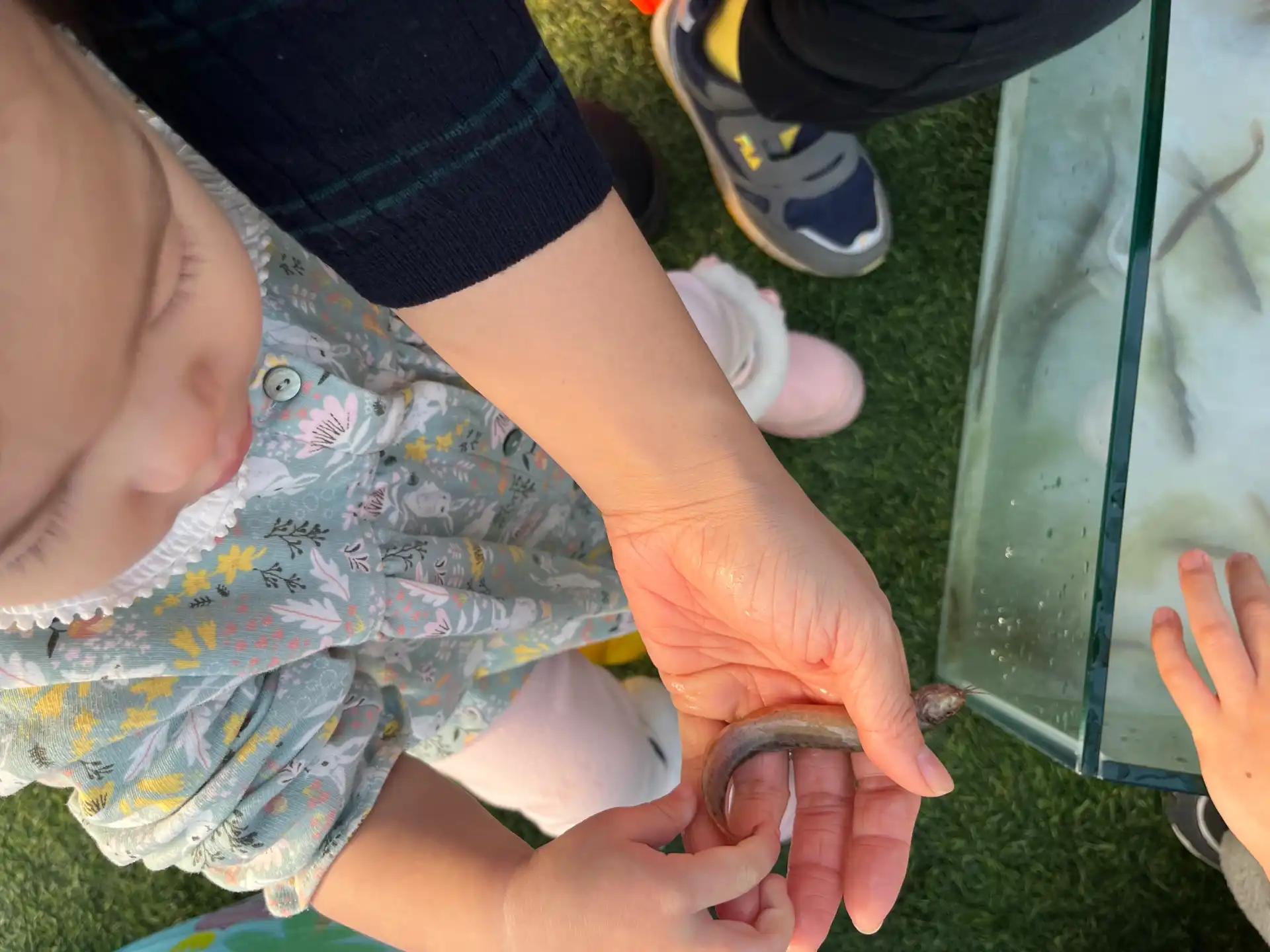 크루톡 이미지 3