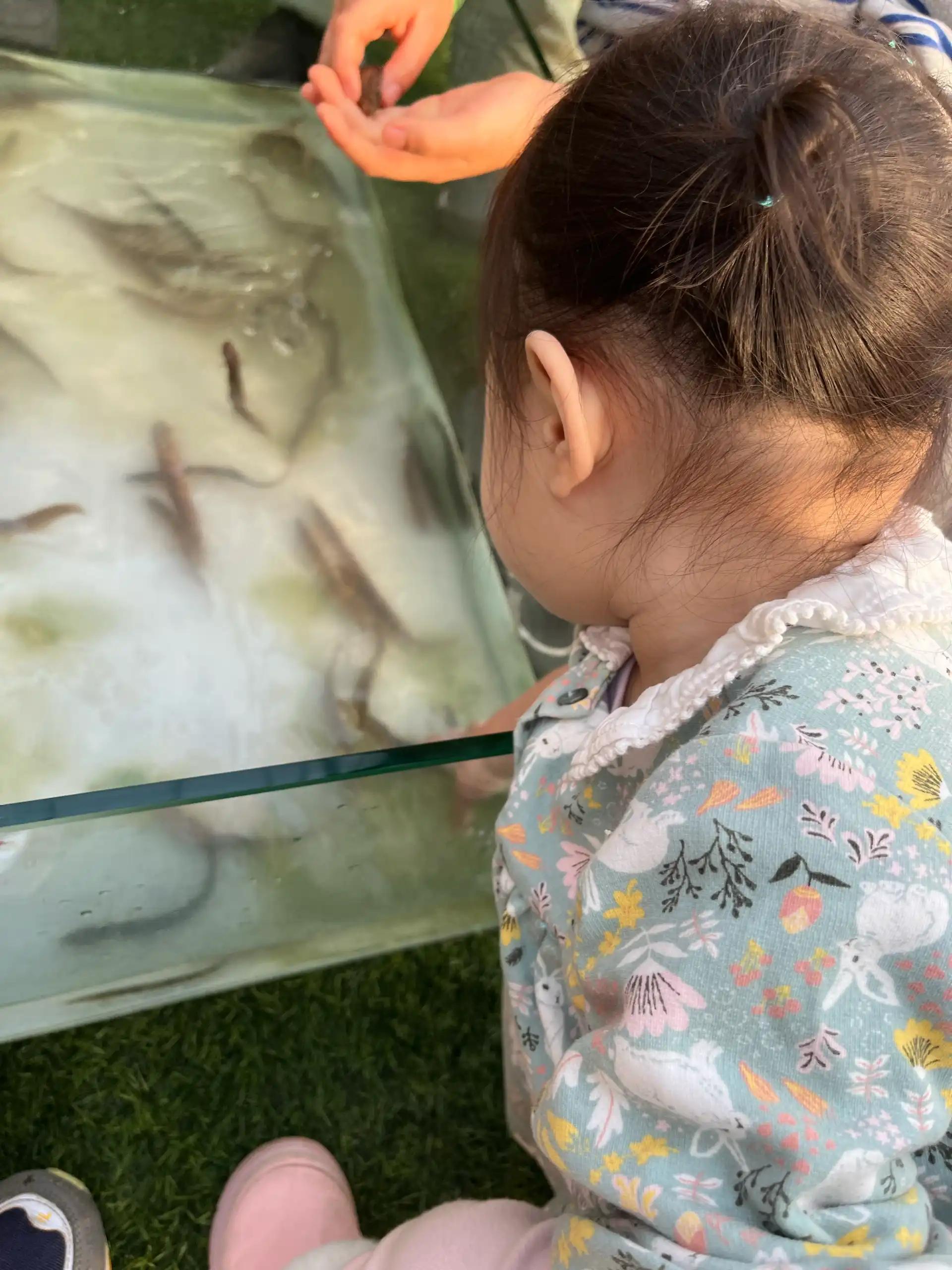 크루톡 이미지 4