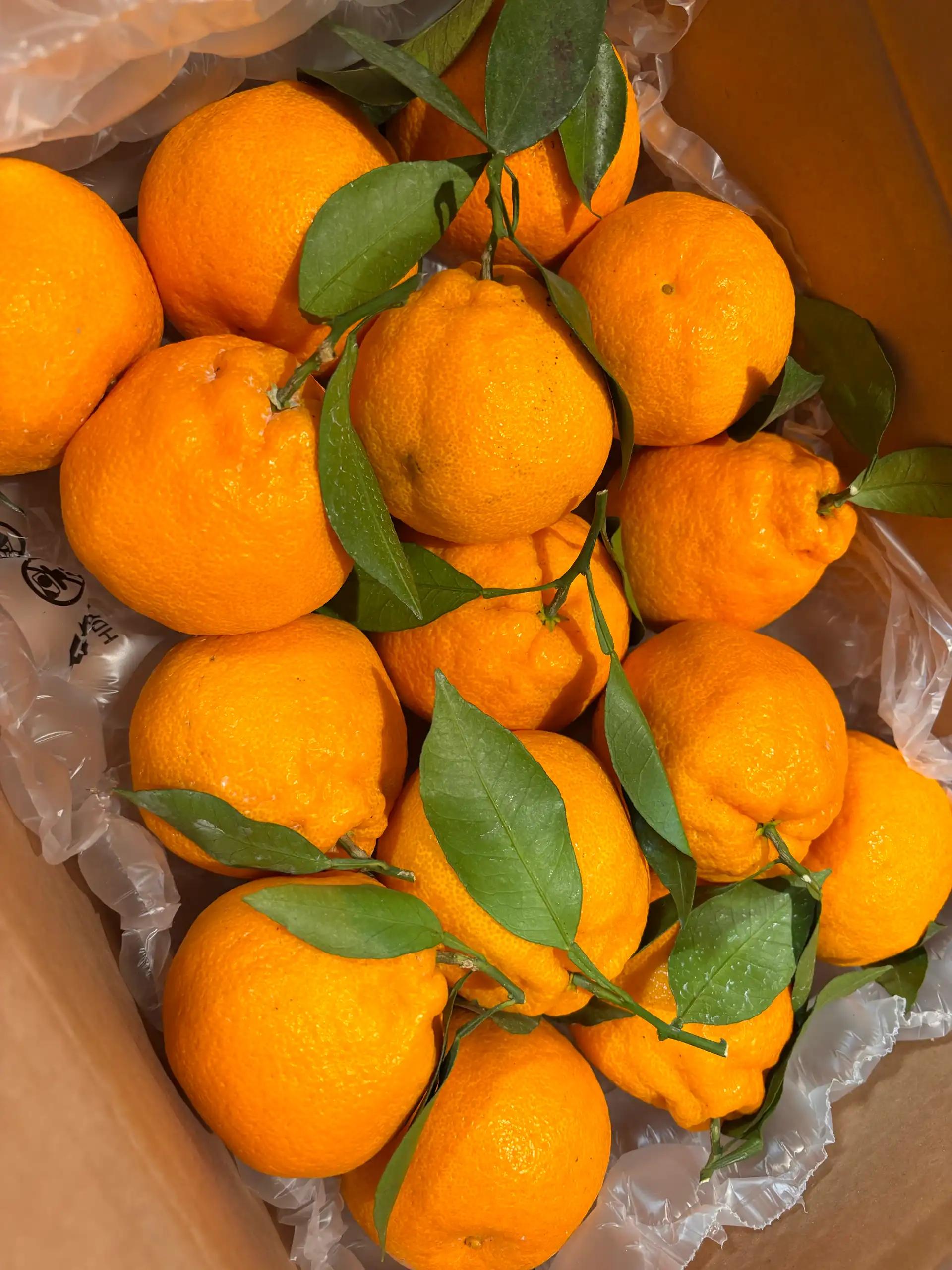 크루톡 이미지 2