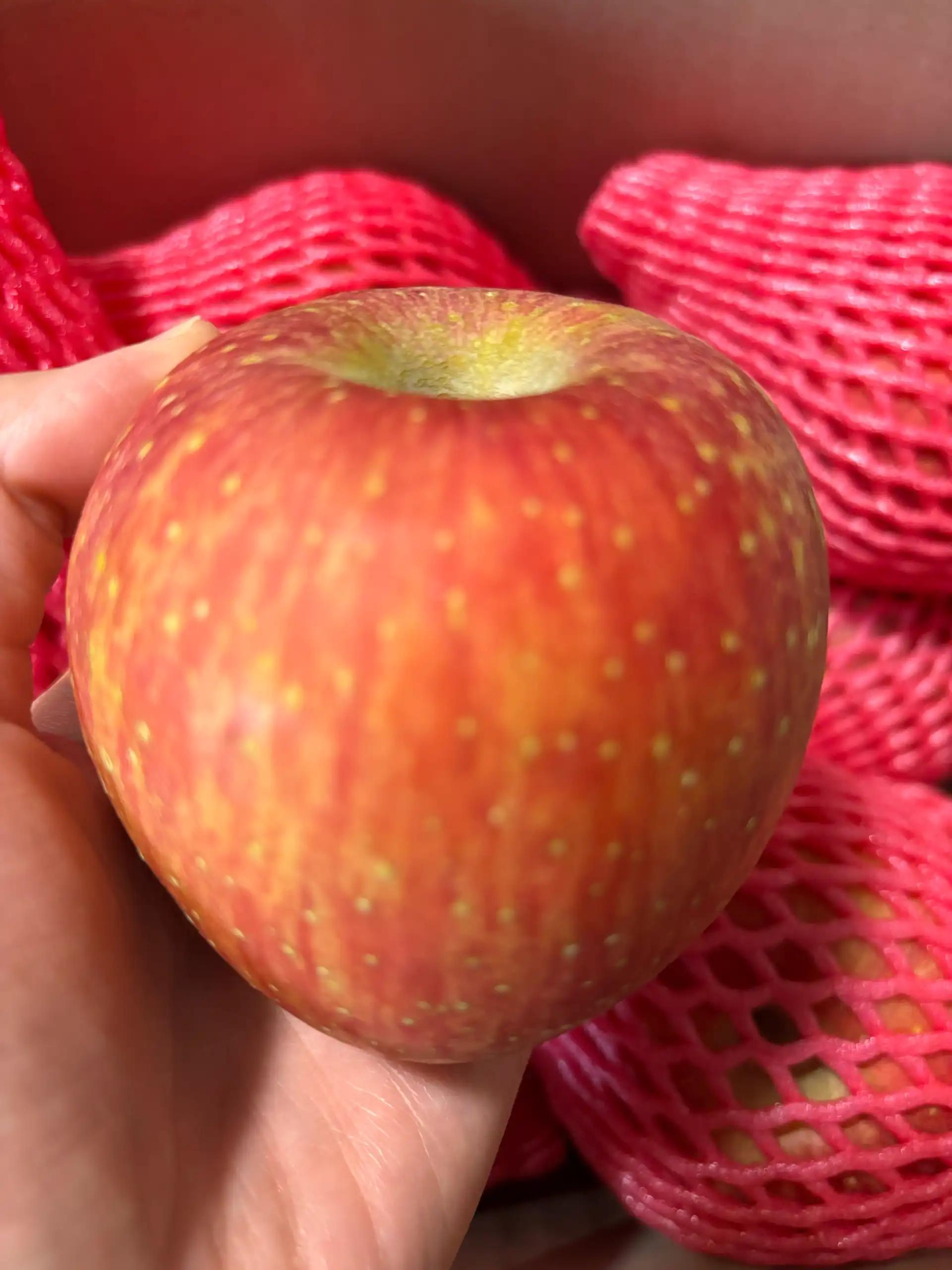 크루톡 이미지 4