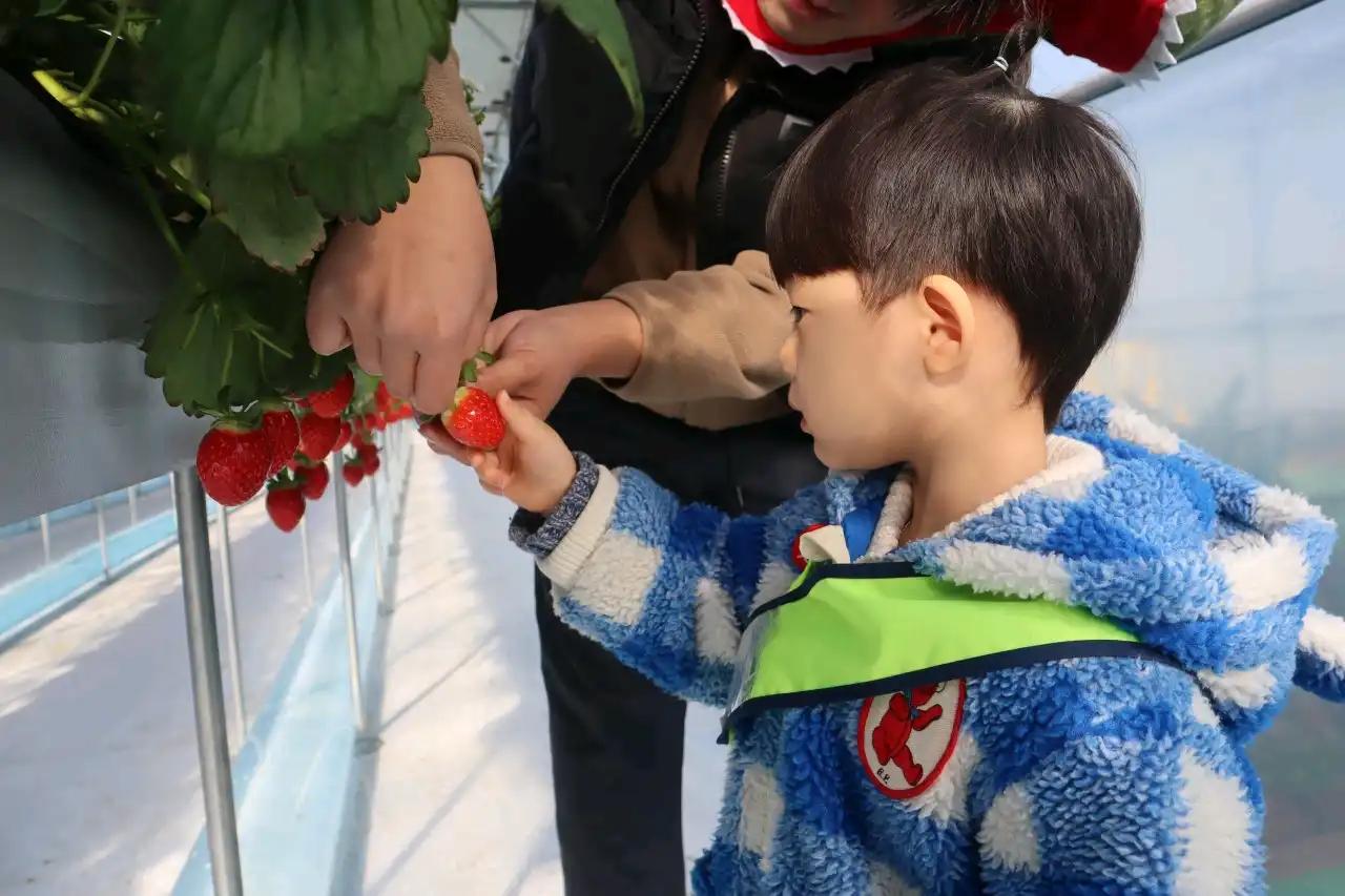 크루톡 이미지 1