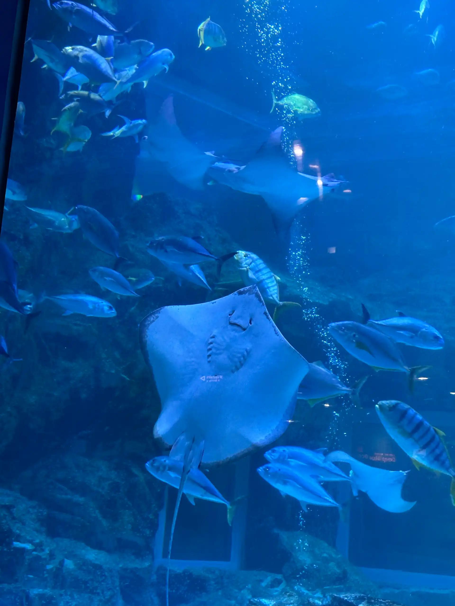 크루톡 이미지 1