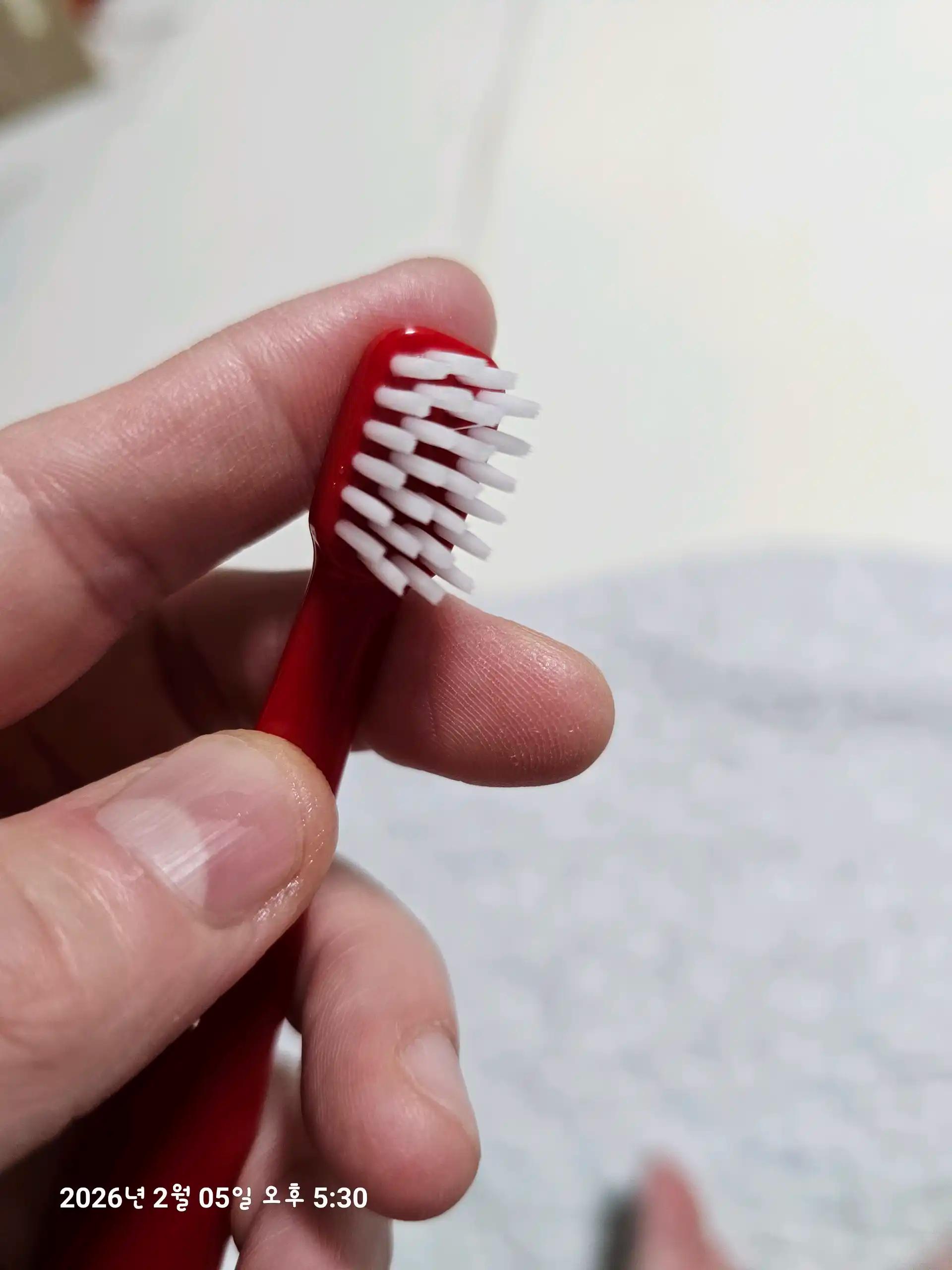 크루톡 이미지 1