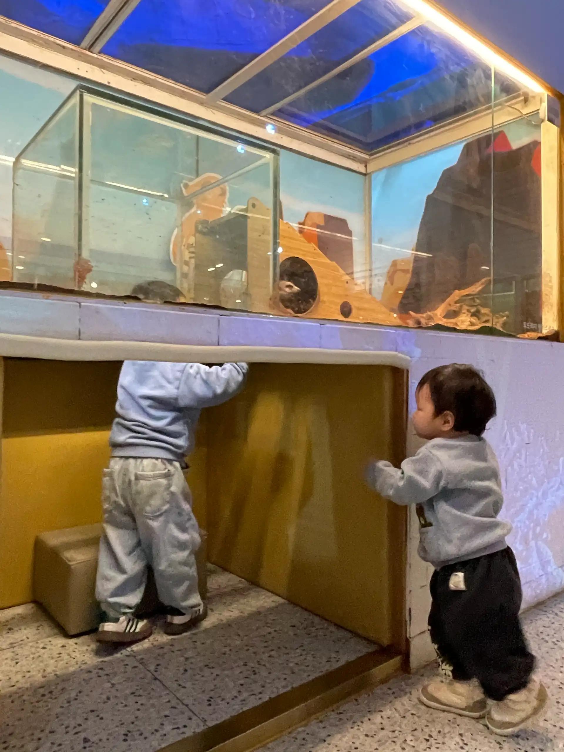 크루톡 이미지 1