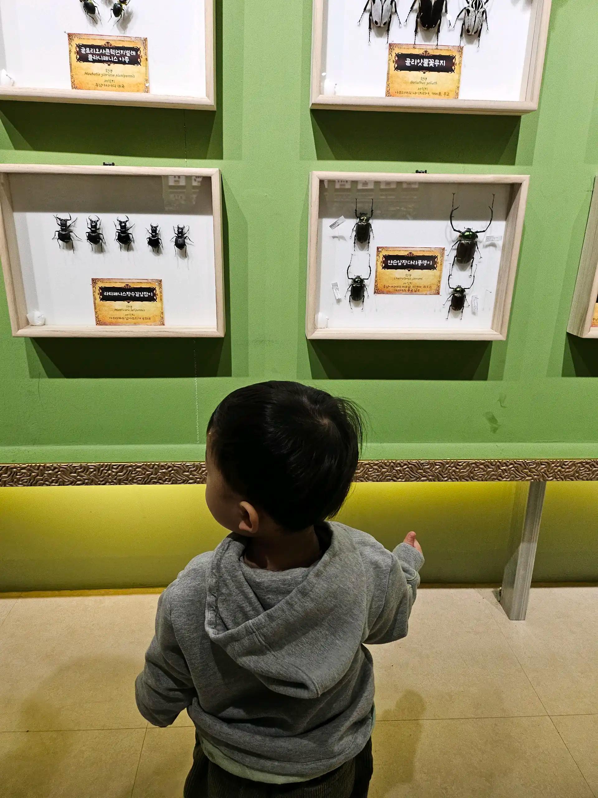 크루톡 이미지 1