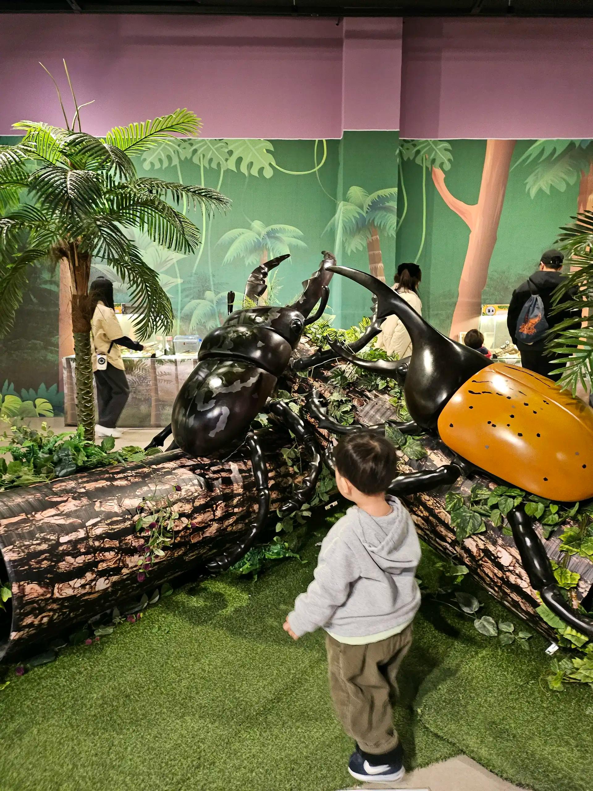 크루톡 이미지 2