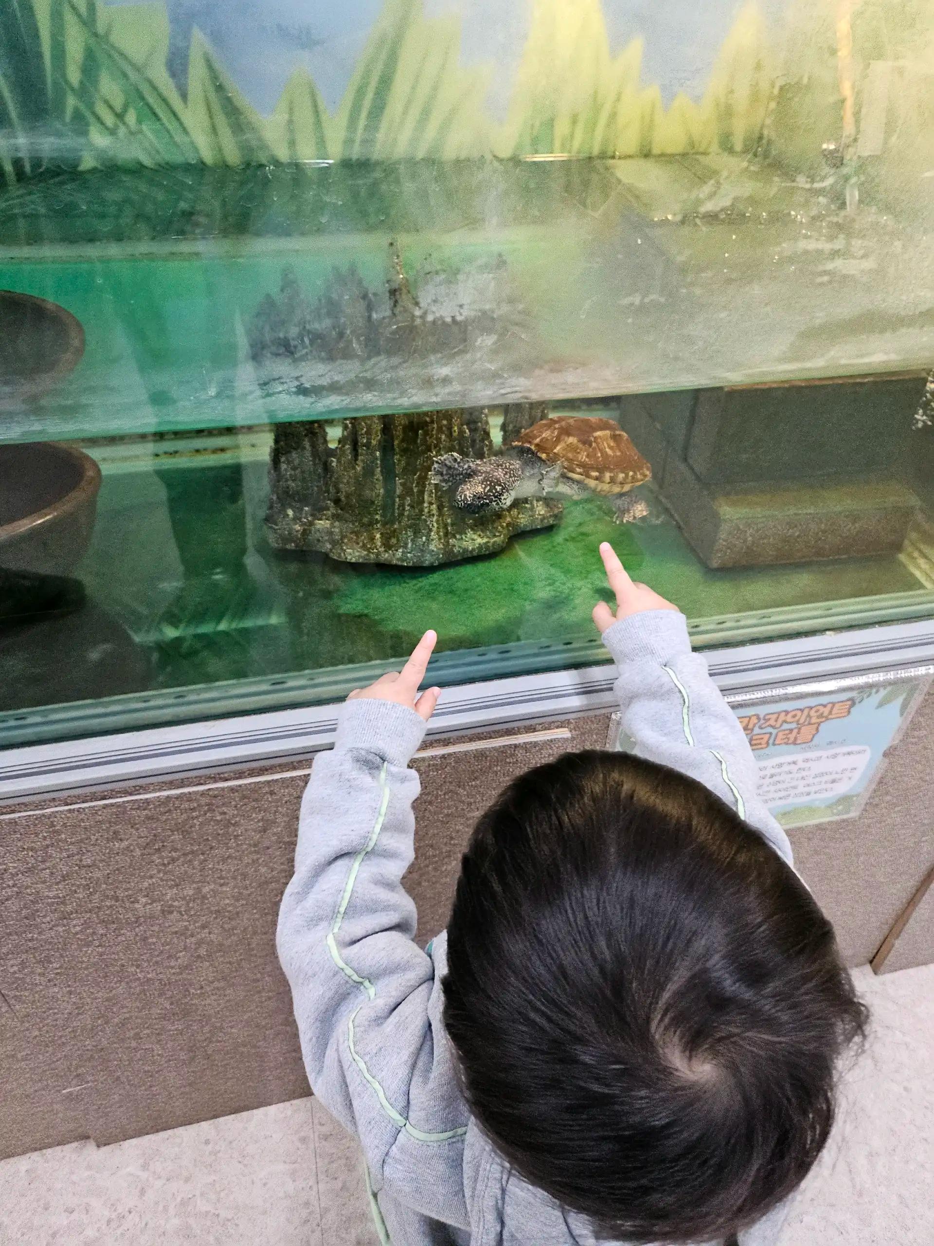 크루톡 이미지 3